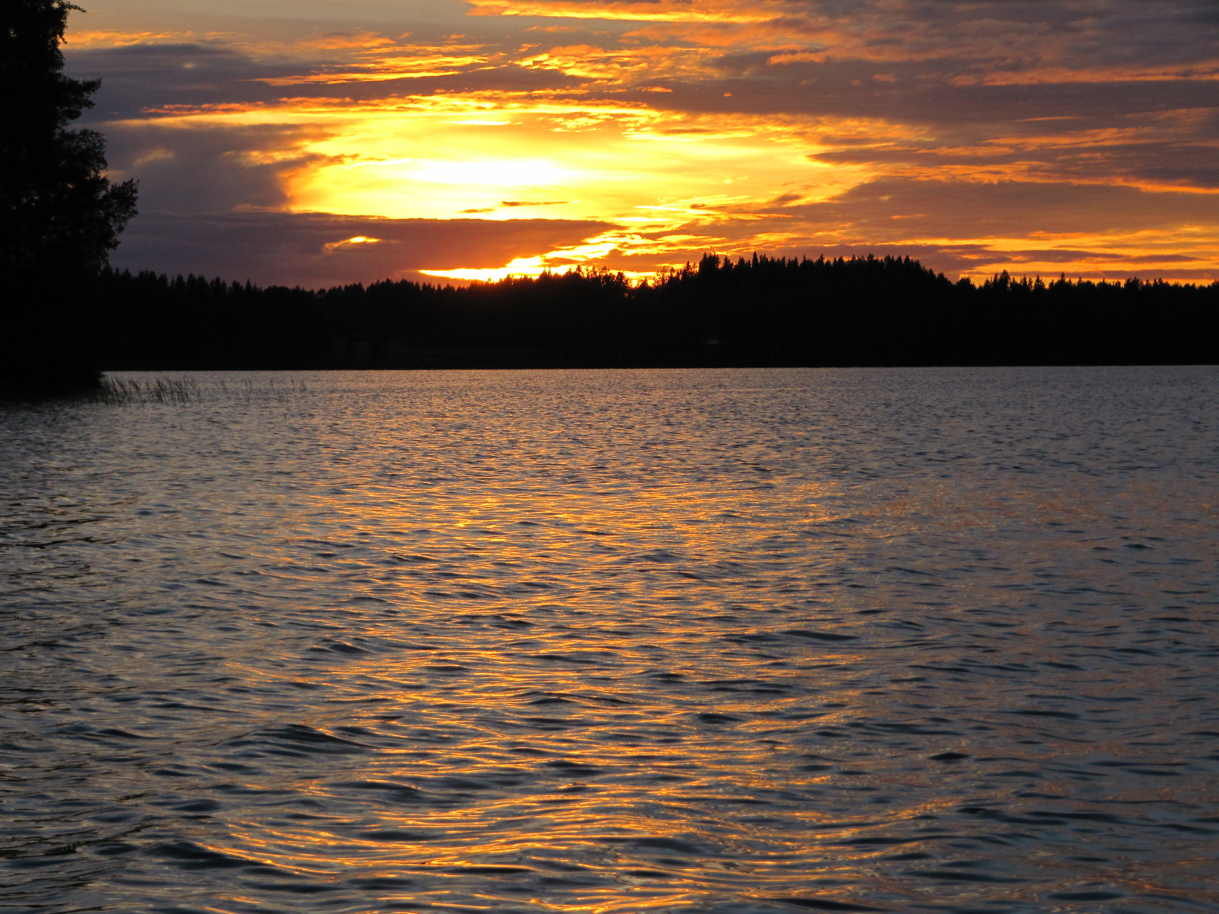 - image: 12