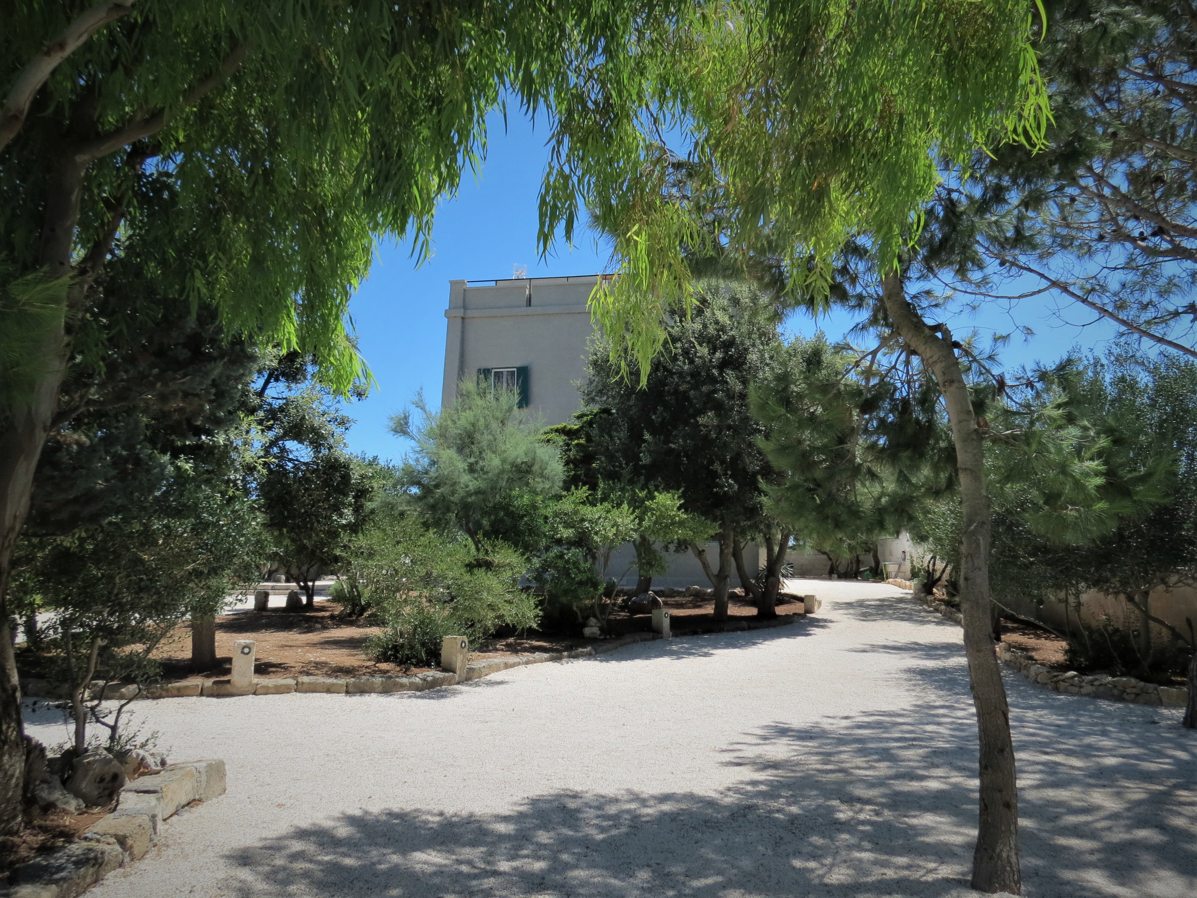 - image: 11
