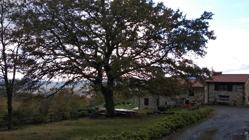 Casa nella natura a Gerfalco