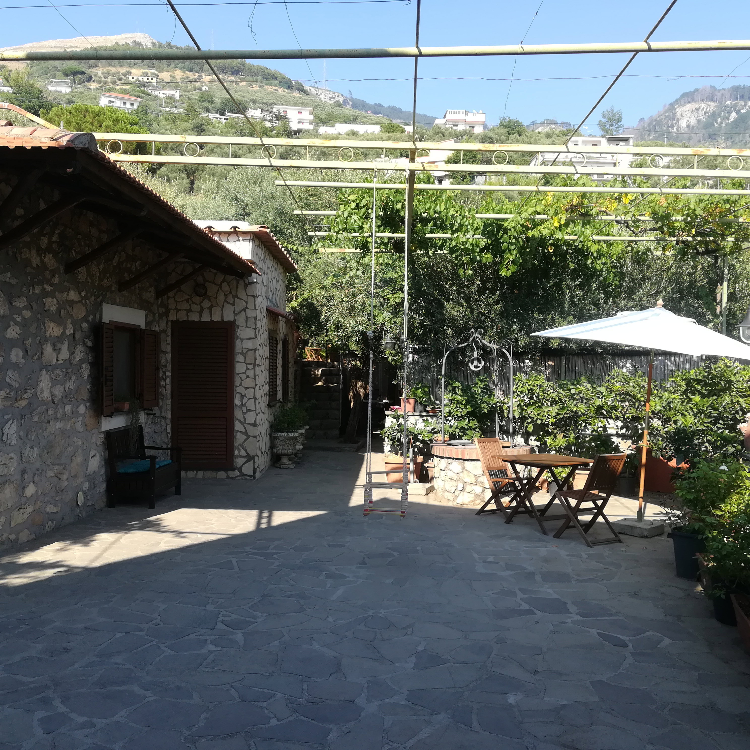 - image: 11