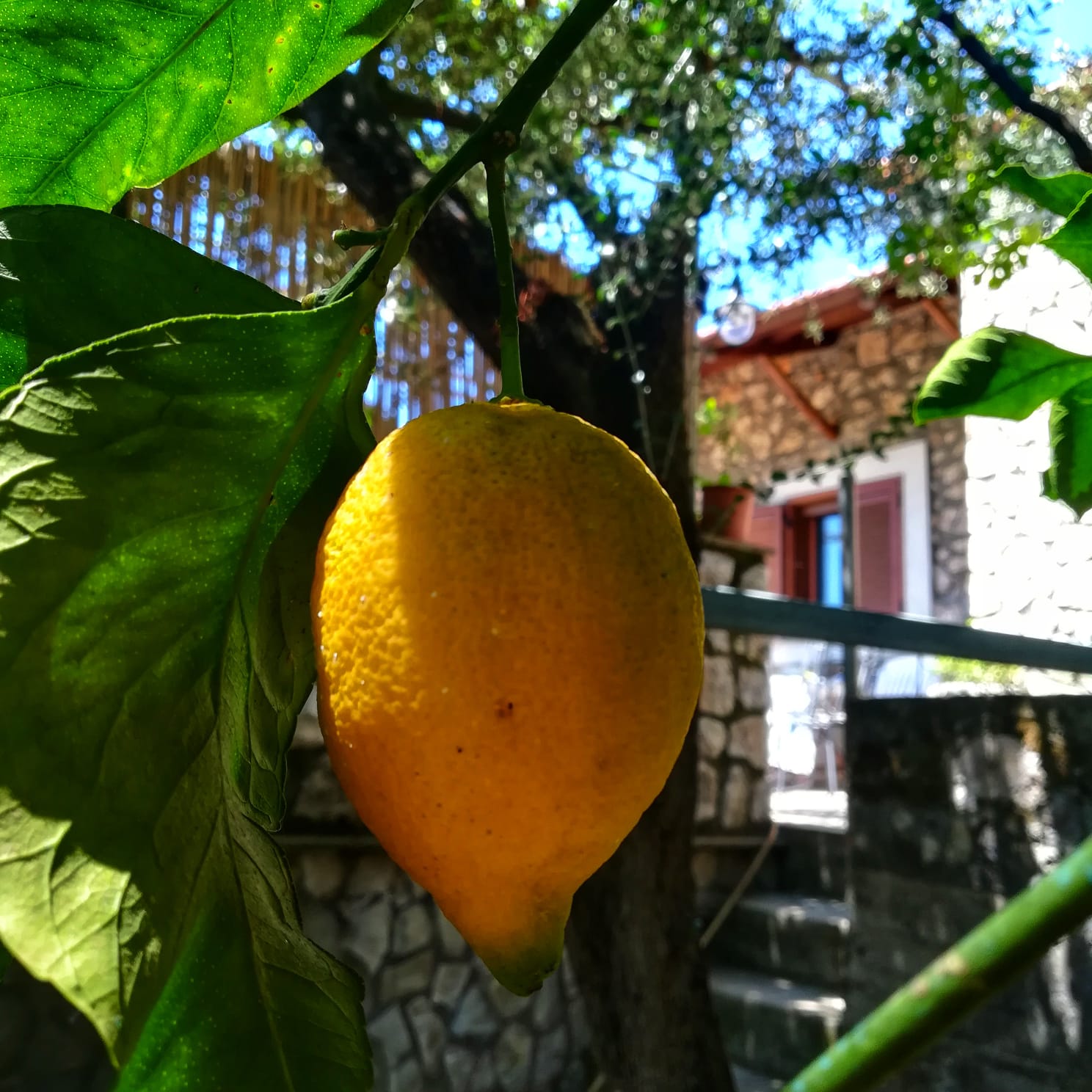 Casa nella natura a Vico Equense