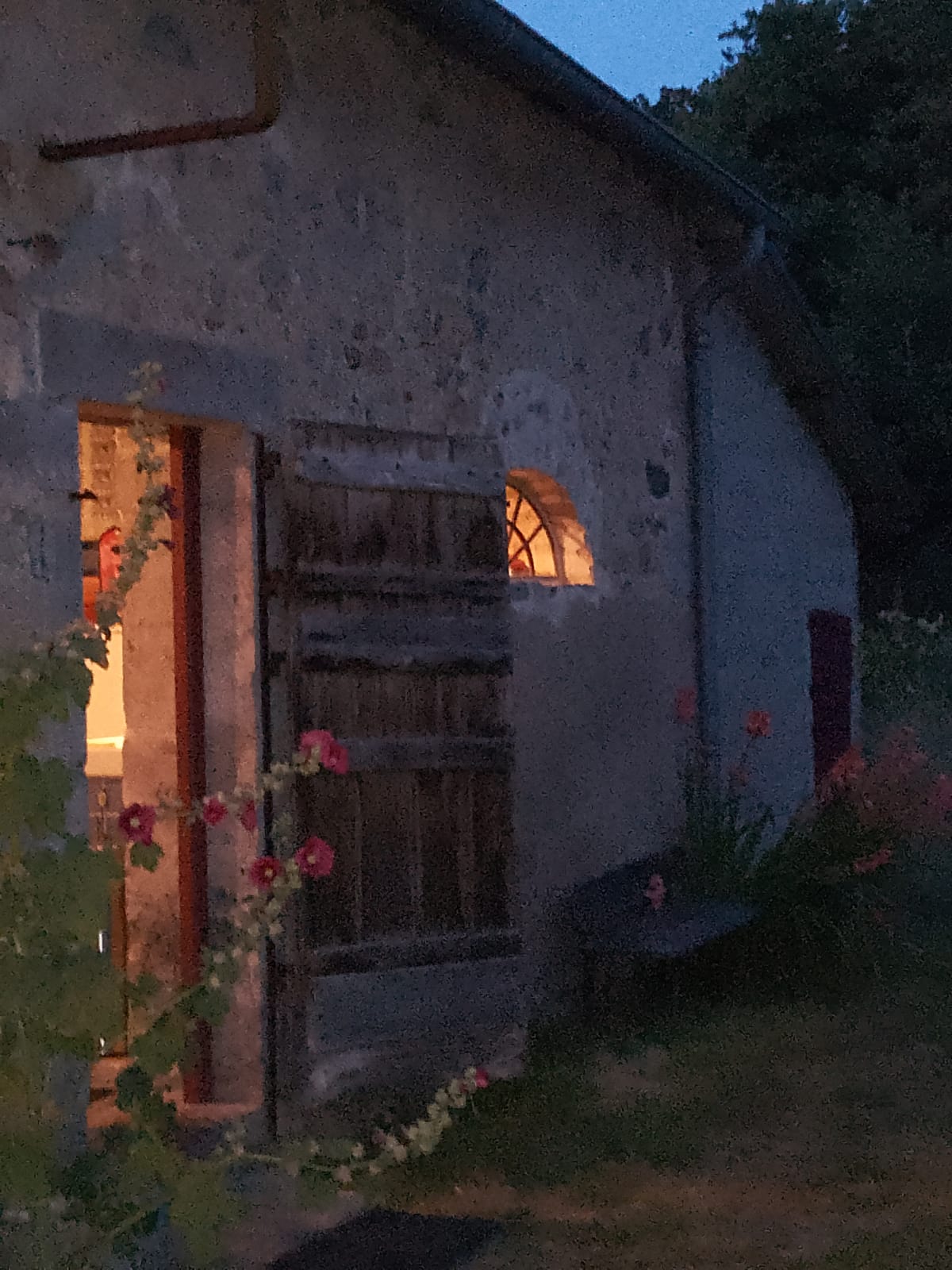 - image: 11