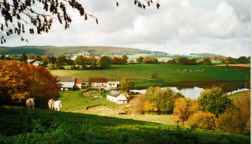 - image: 18
