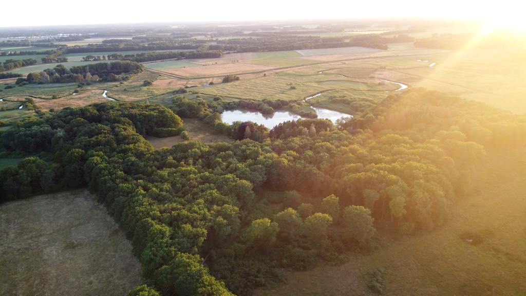 Natuurhuisje in Midlaren