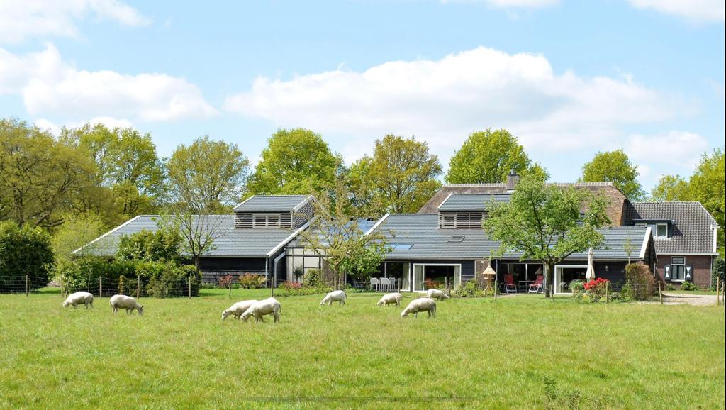 Naturhäuschen in Diever