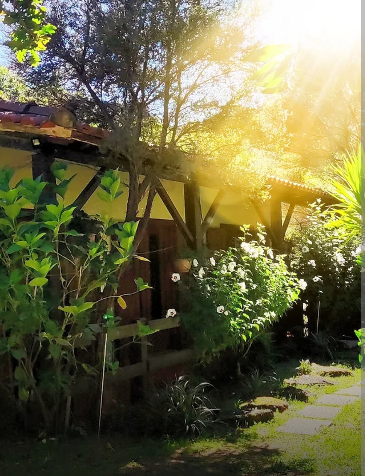 Maison nature à Vieira do Minho