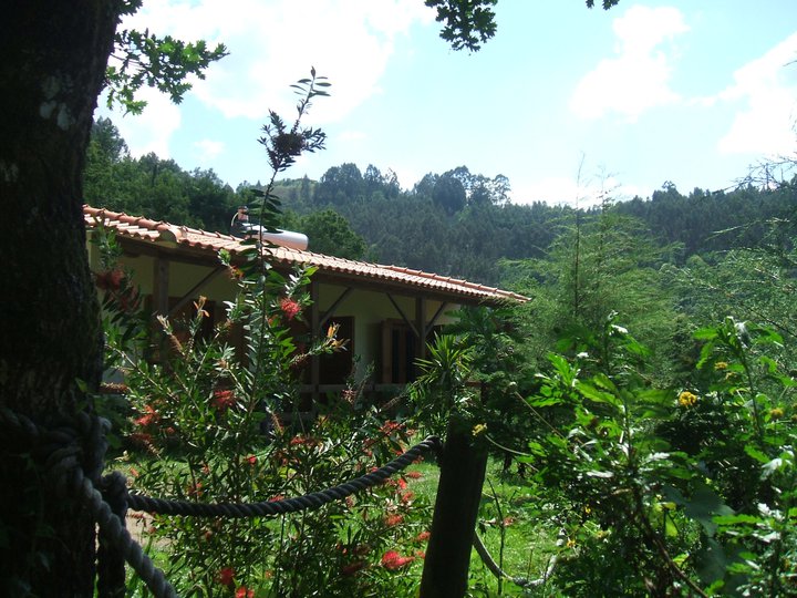 Maison nature à Vieira do Minho