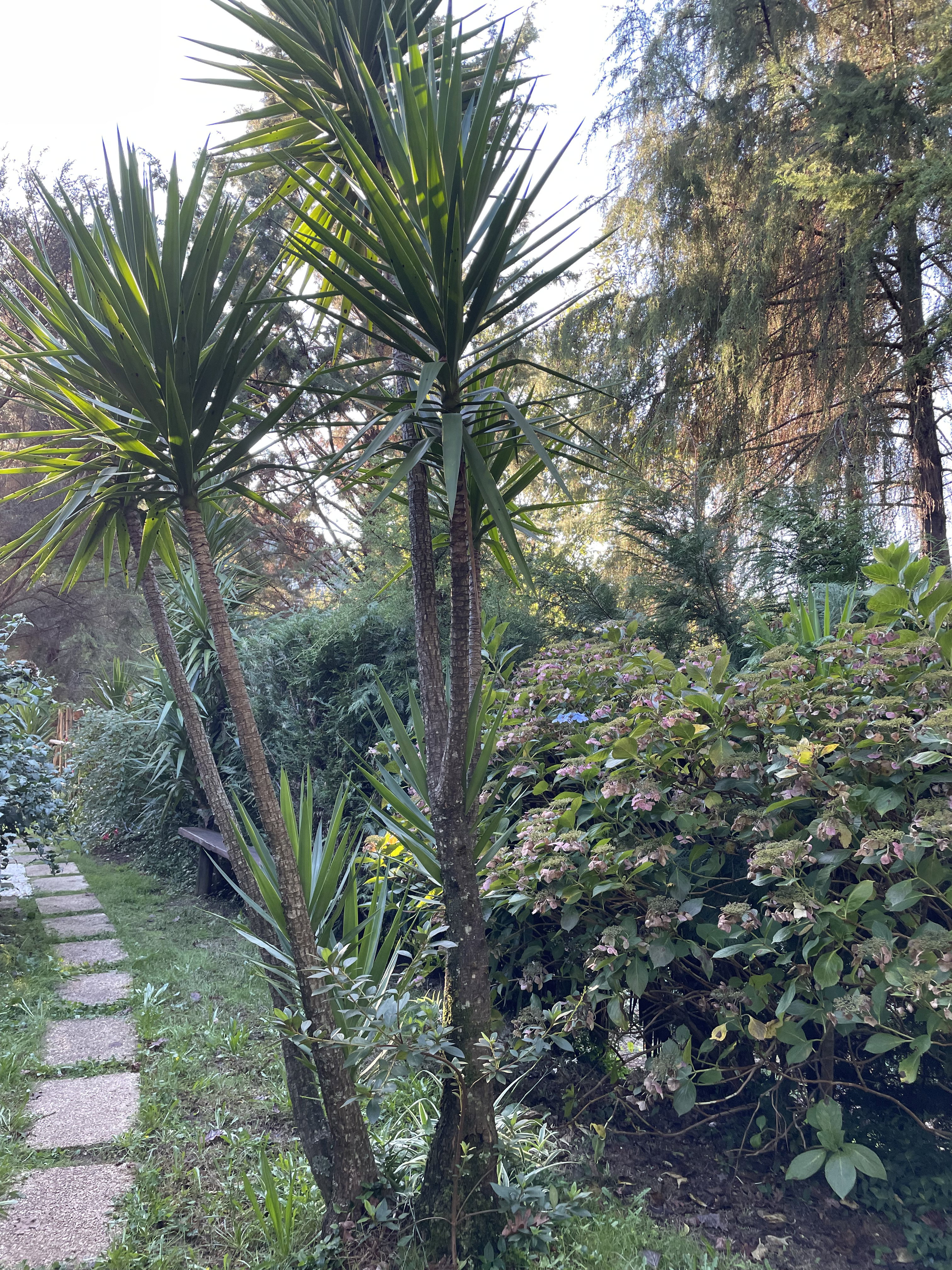 Maison nature à Vieira do Minho