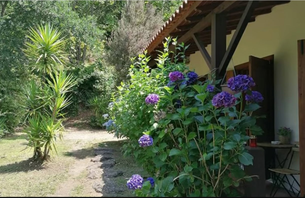 Maison nature à Vieira do Minho