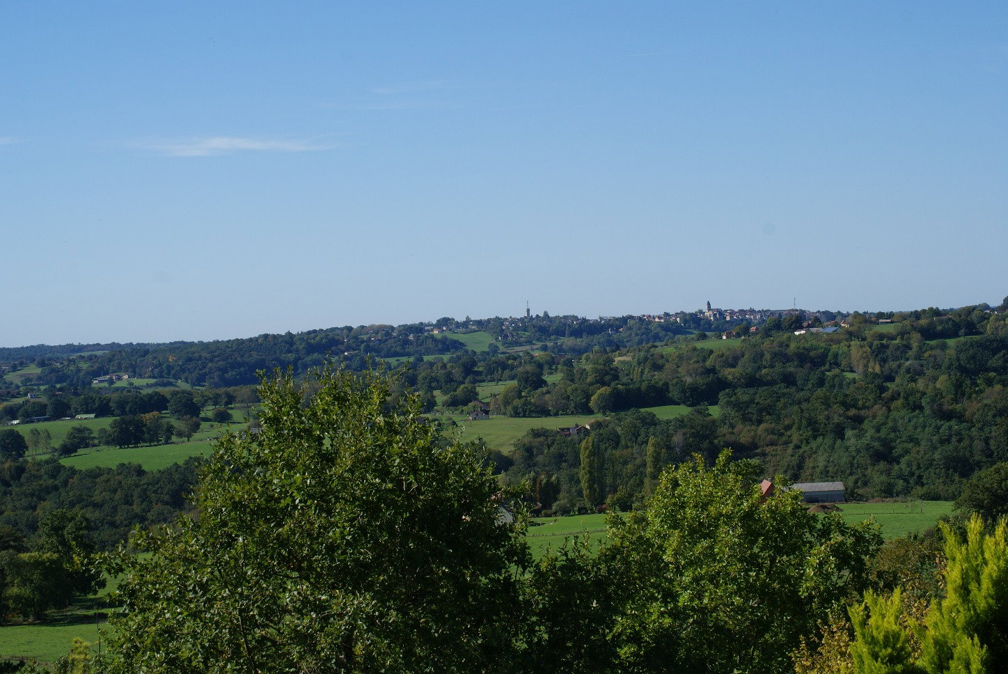 - image: 13