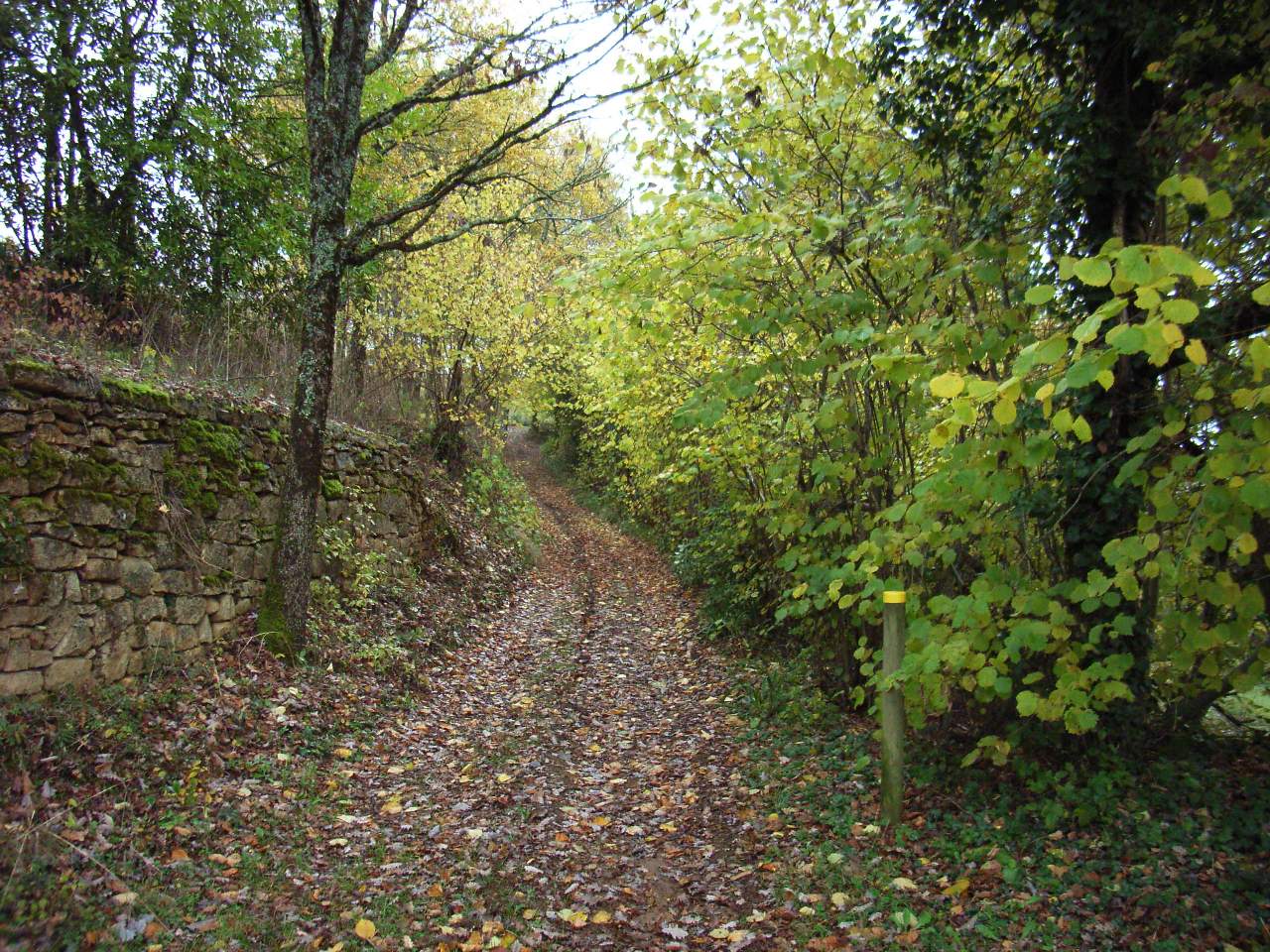 - image: 14