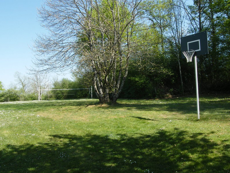 - image: 11