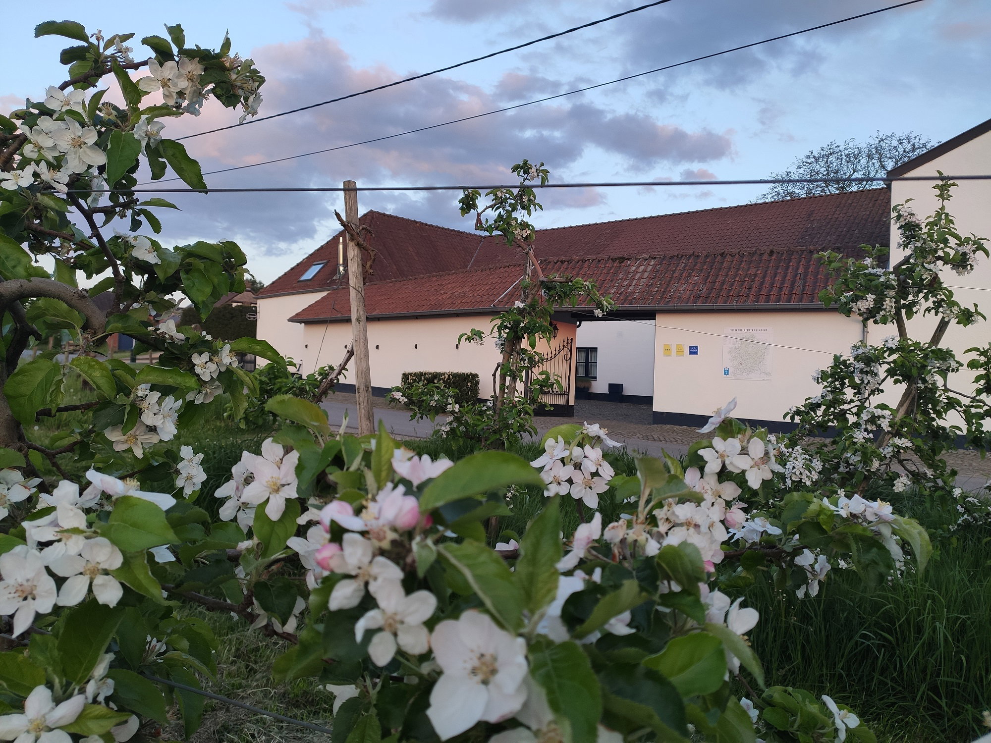 Natuurhuisje in Alken
