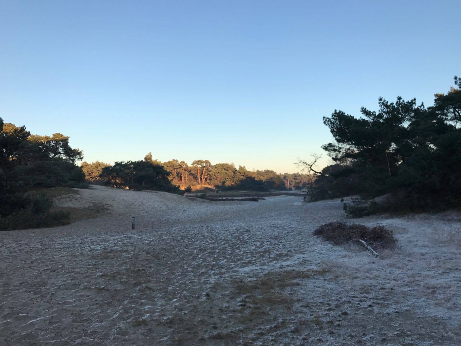 Natuurhuisje in Beerze