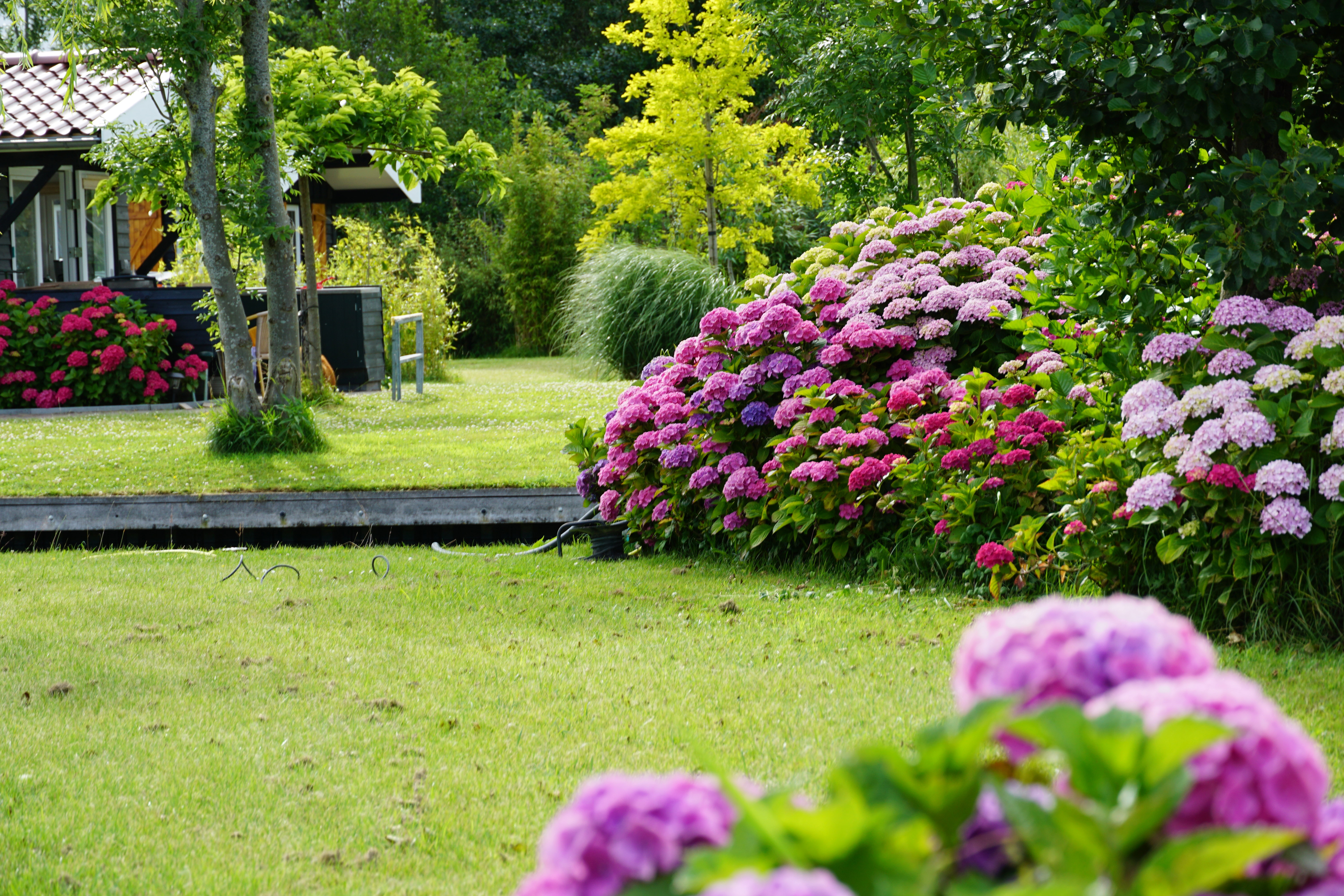 - image: 11