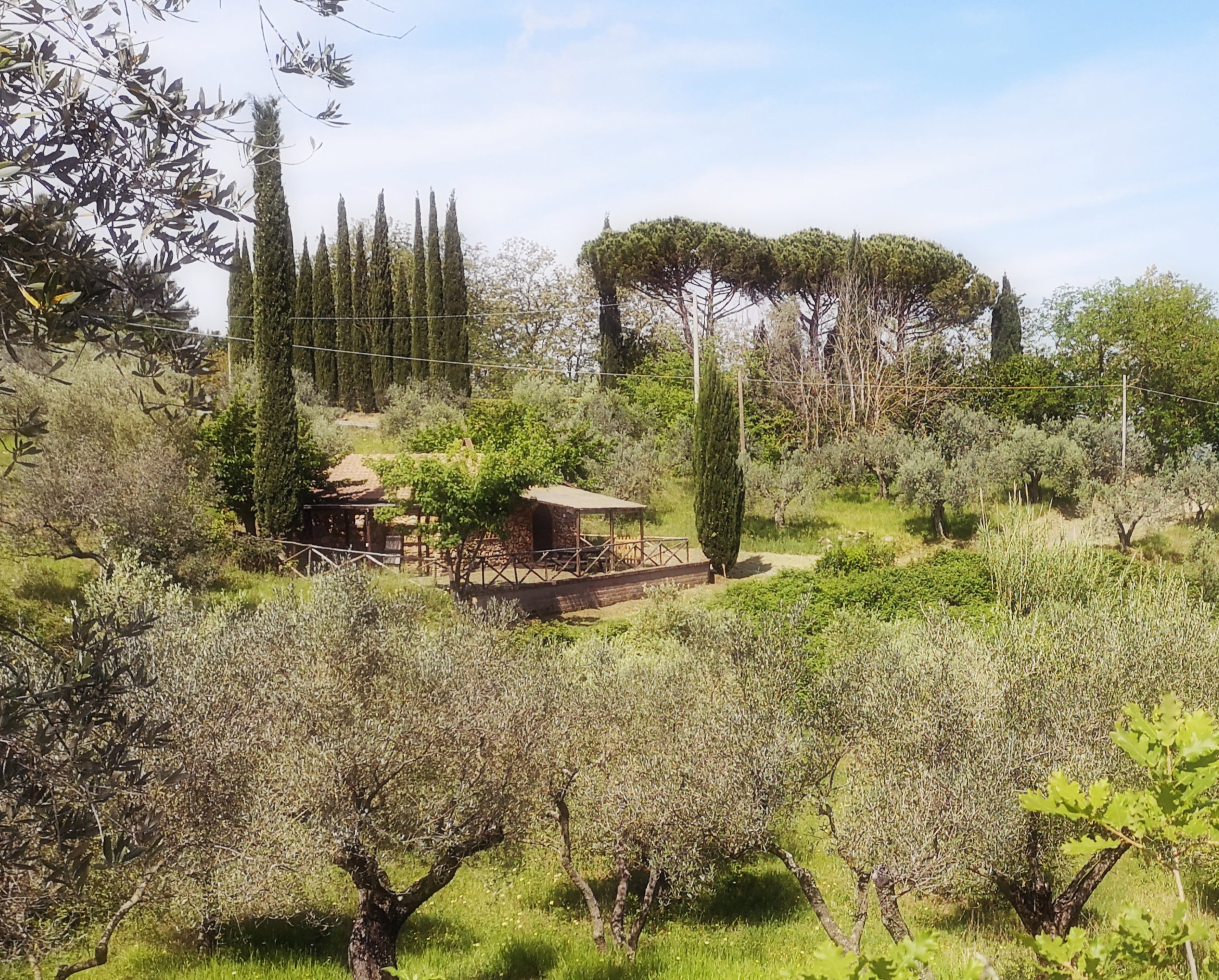 Nature house in Montescudaio
