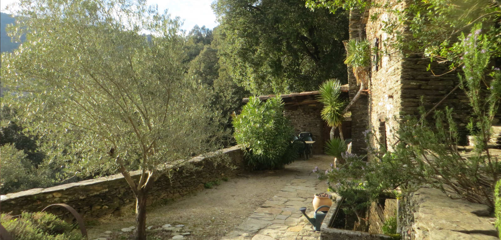 Maison nature à St Germain de Calberte