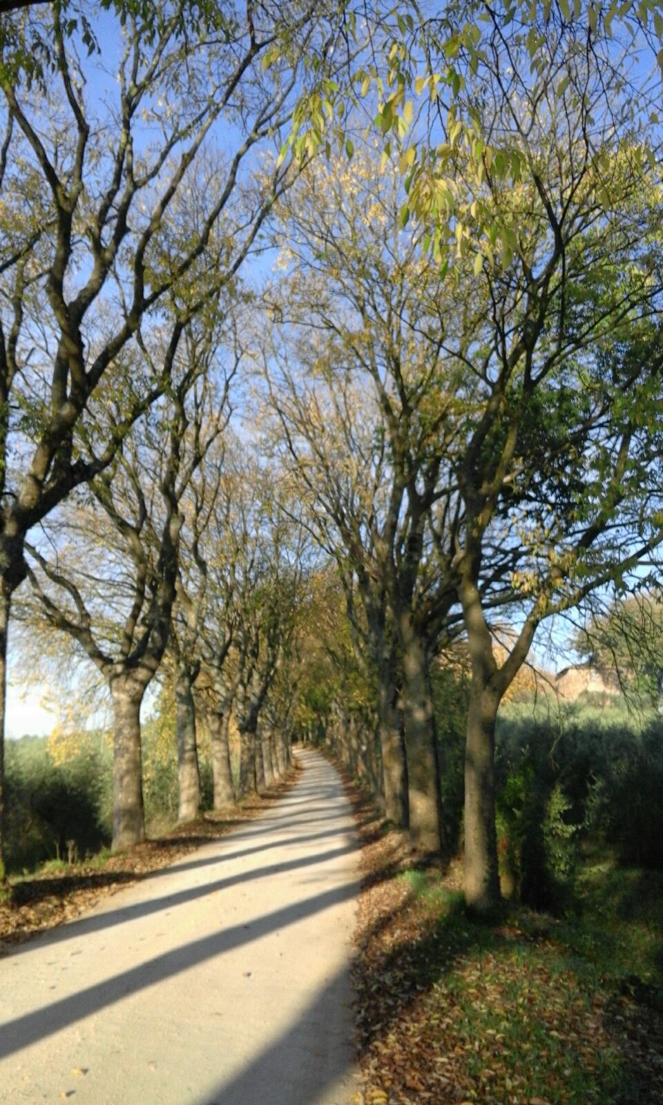 Natuurhuisje in Siena
