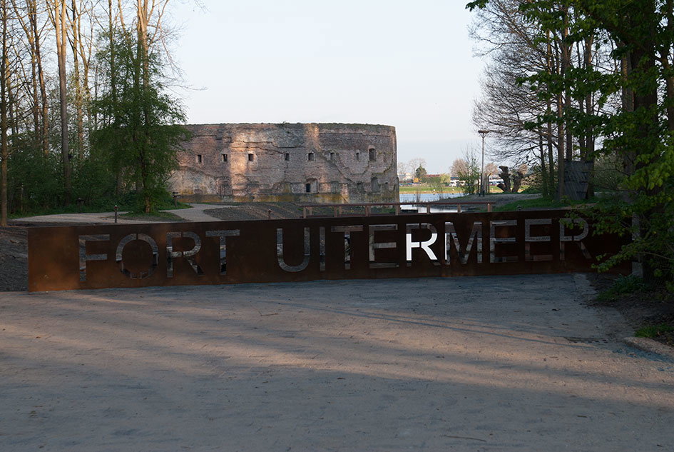 - image: 7