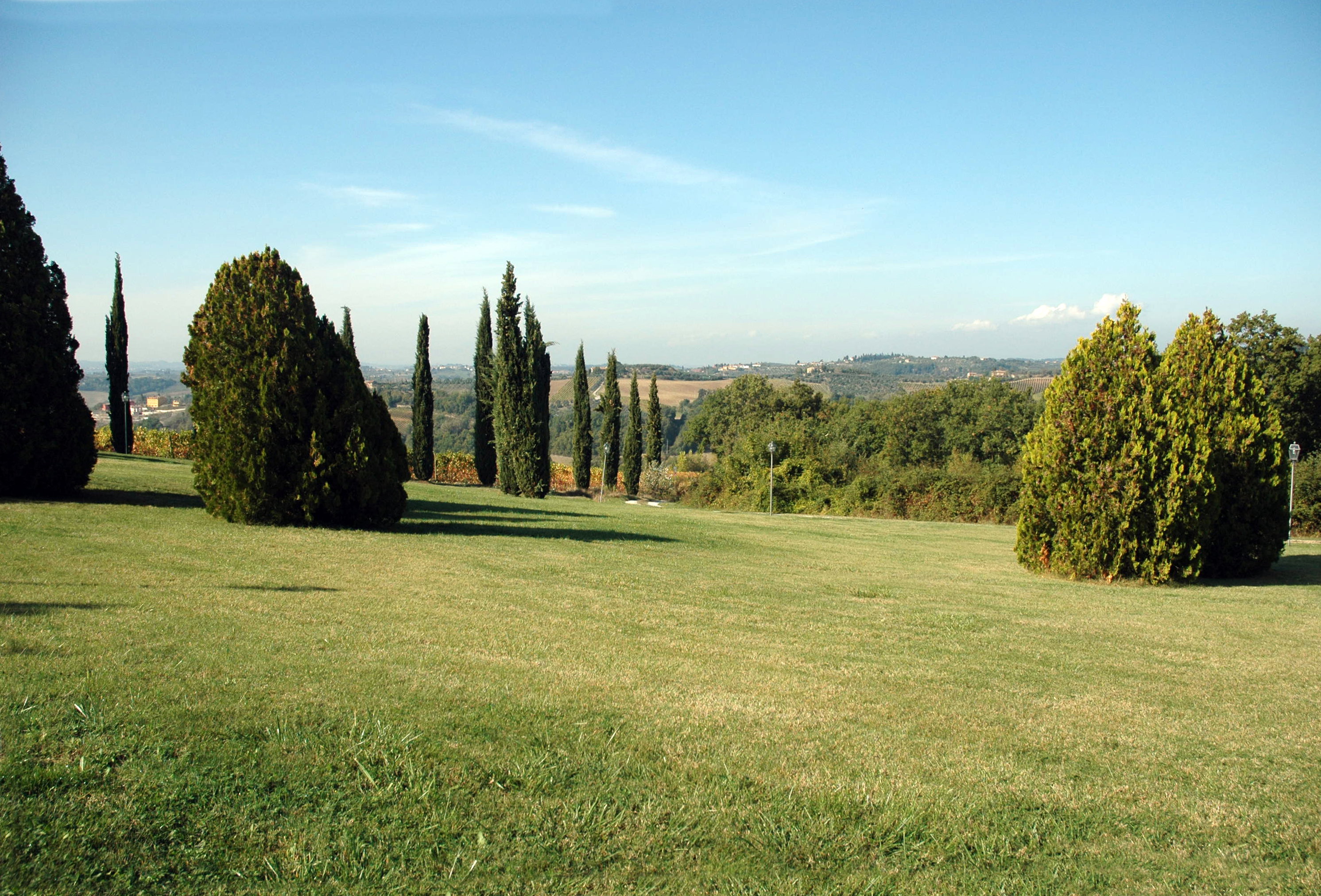 - image: 11