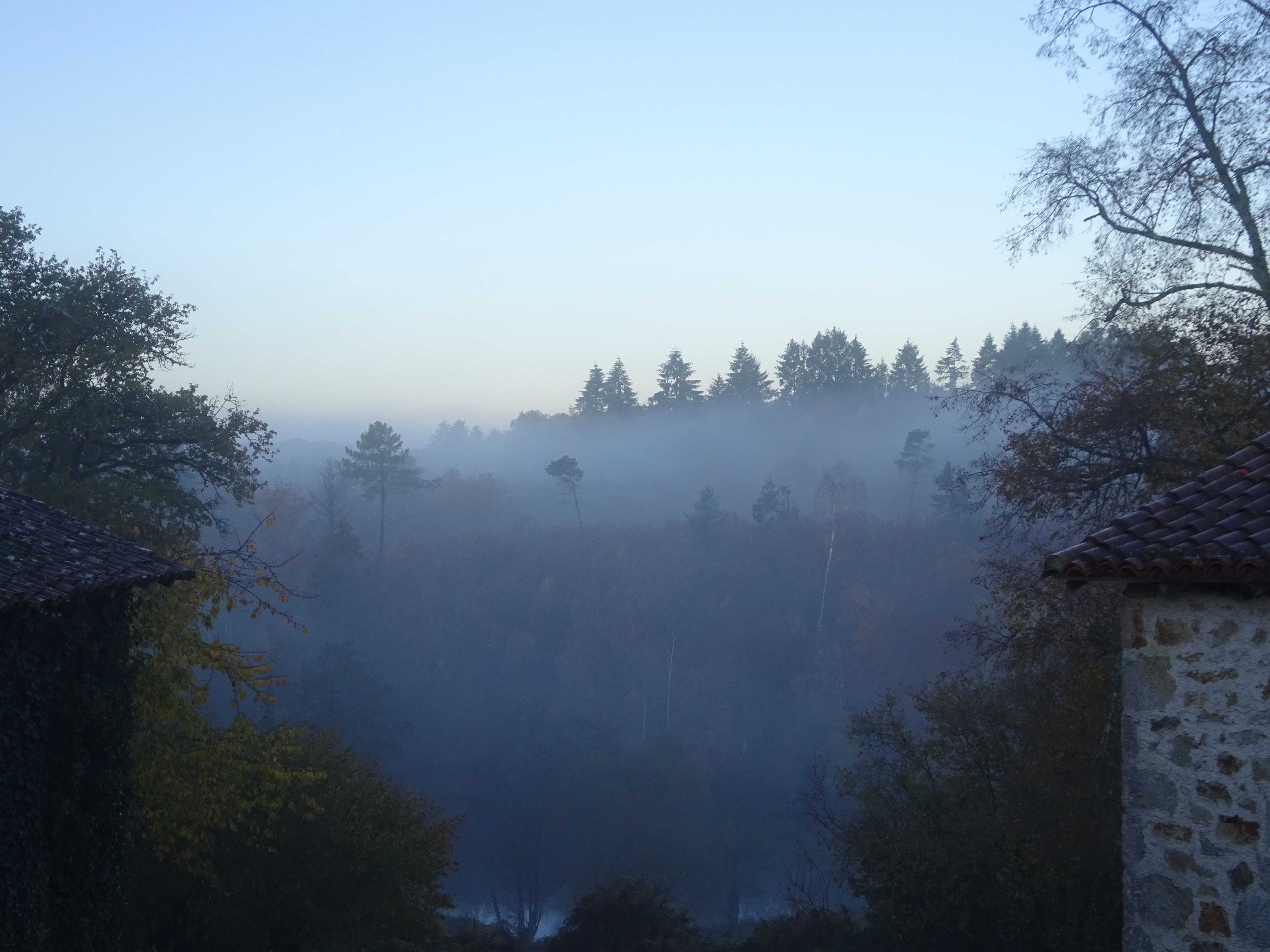 - image: 42