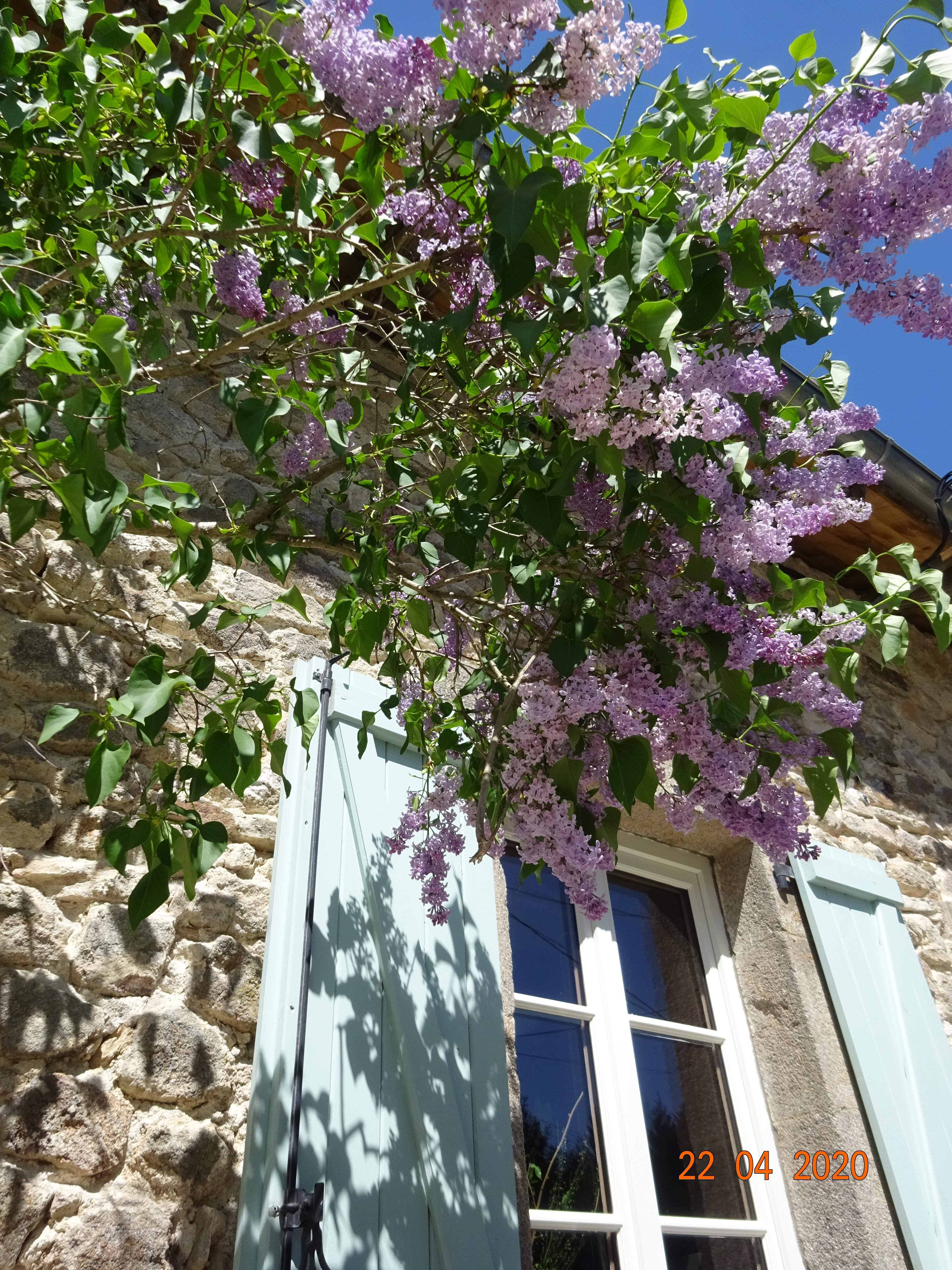 Maison nature à La Chapelle Montbrandeix