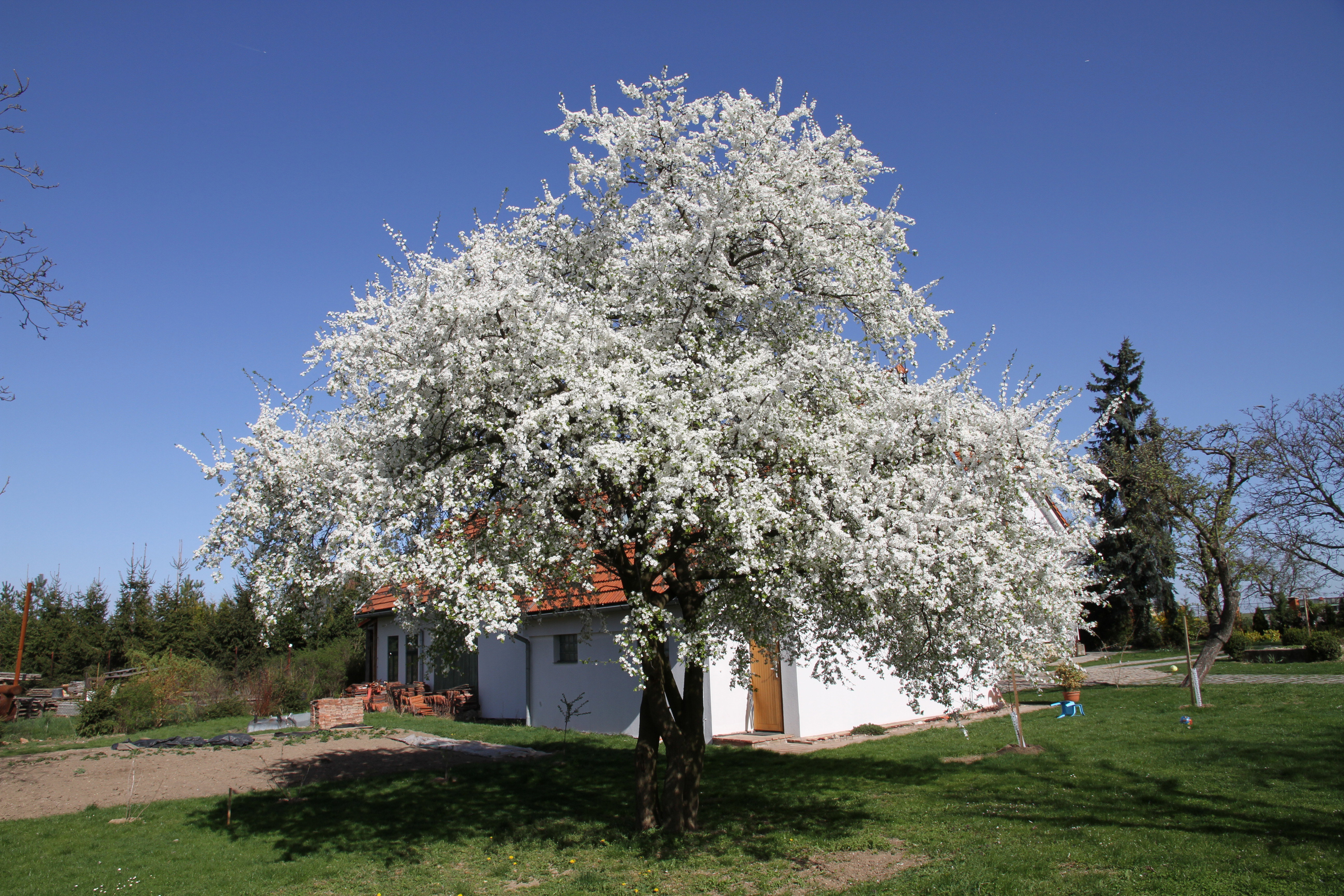 Maison nature à Tuklaty