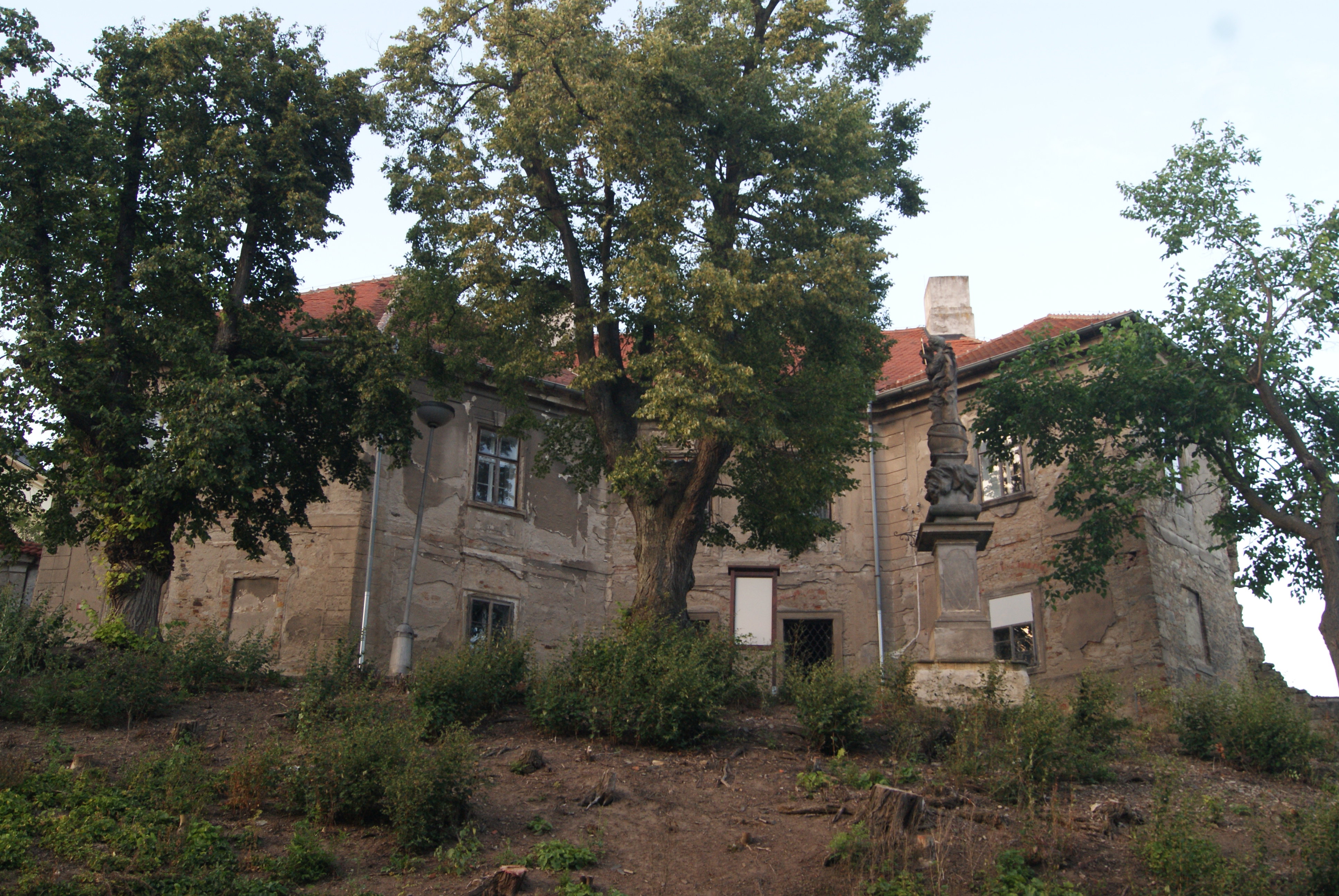 - image: 20