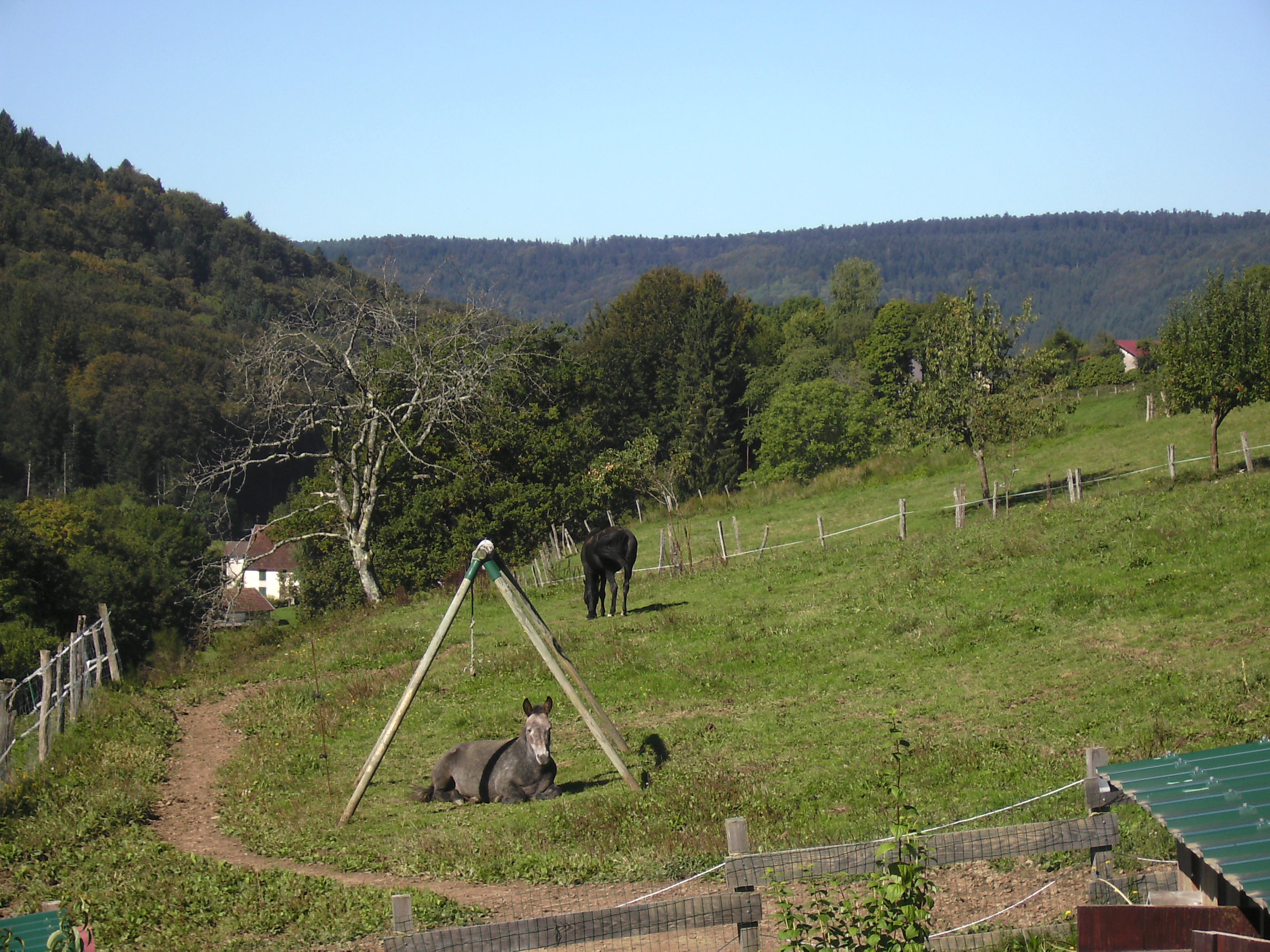 Maison nature à Le Val d'Ajol