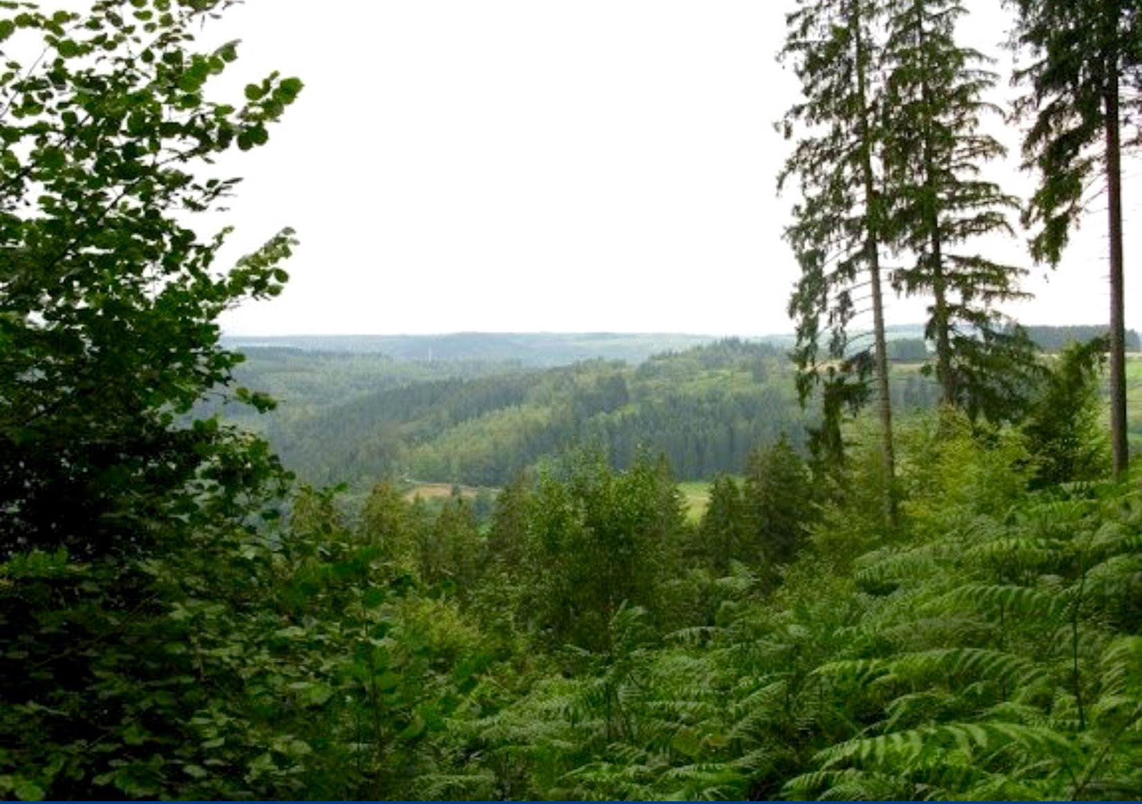 Maison nature à Le Val d'Ajol