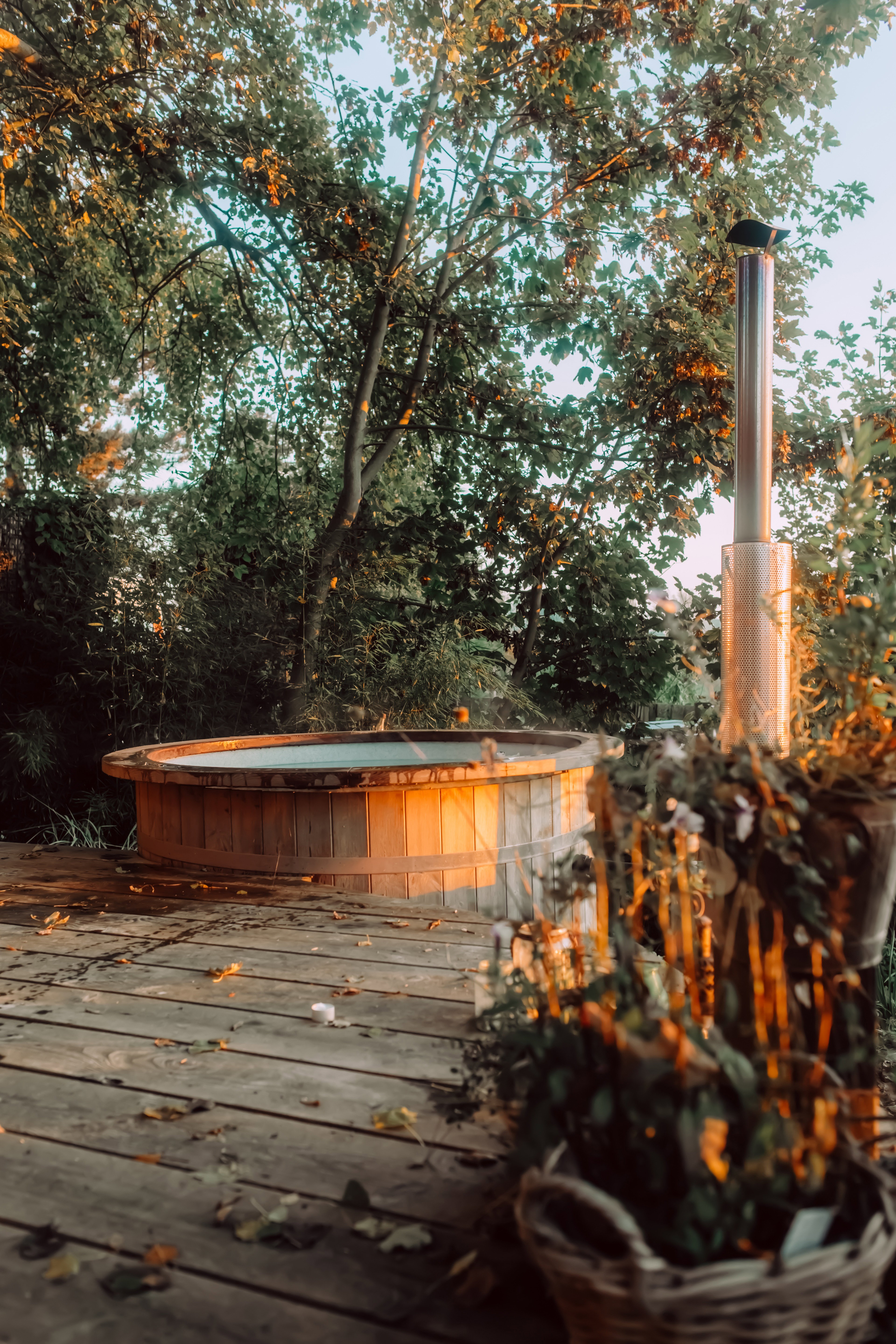 Maison nature à Barsingerhorn