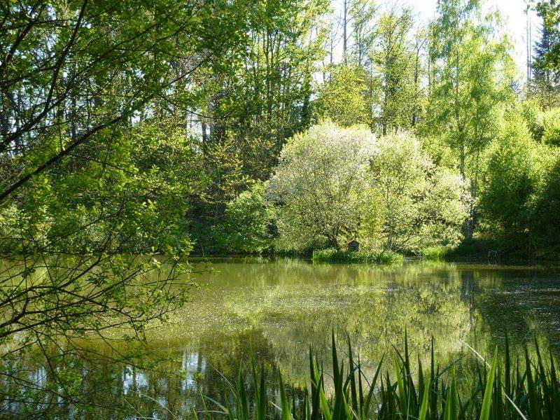 Natuurhuisje in Bussiere Badil