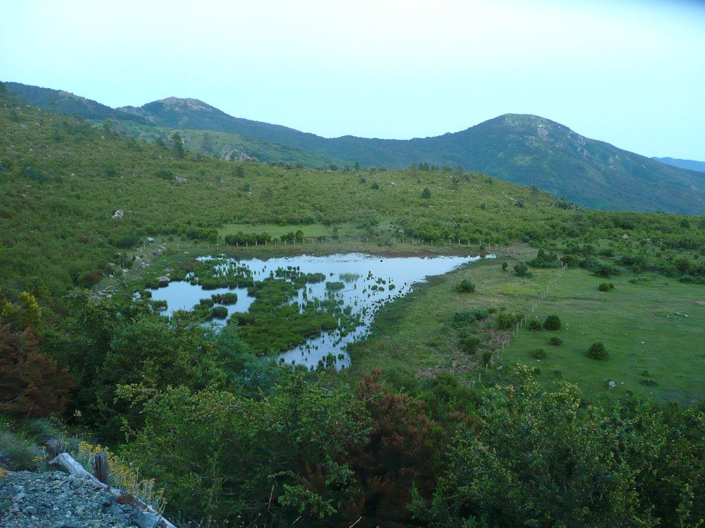 - image: 13