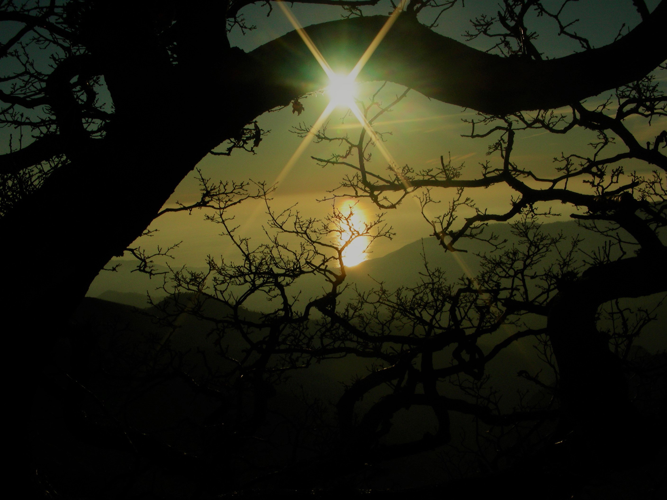 - image: 22