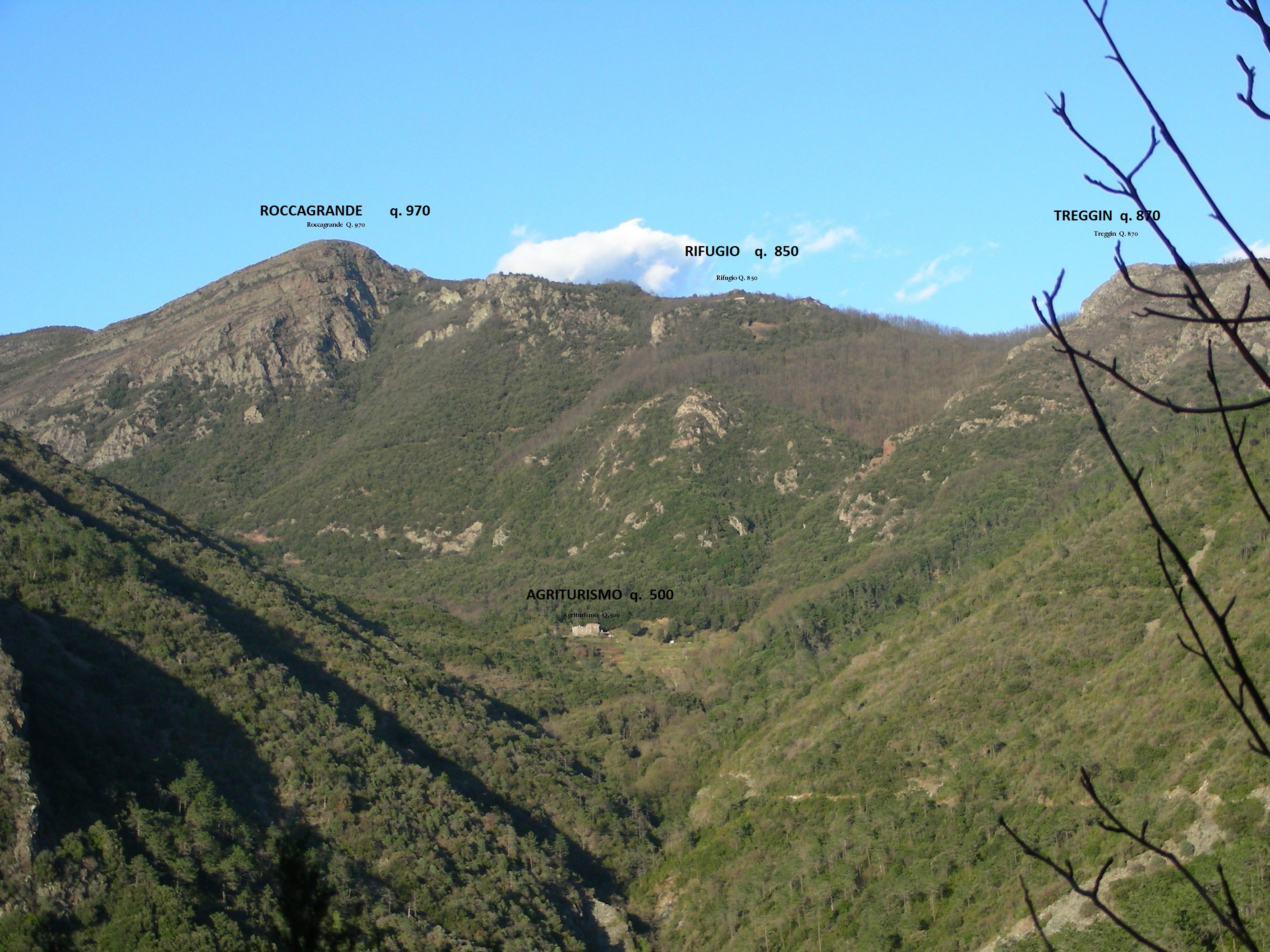 - image: 16