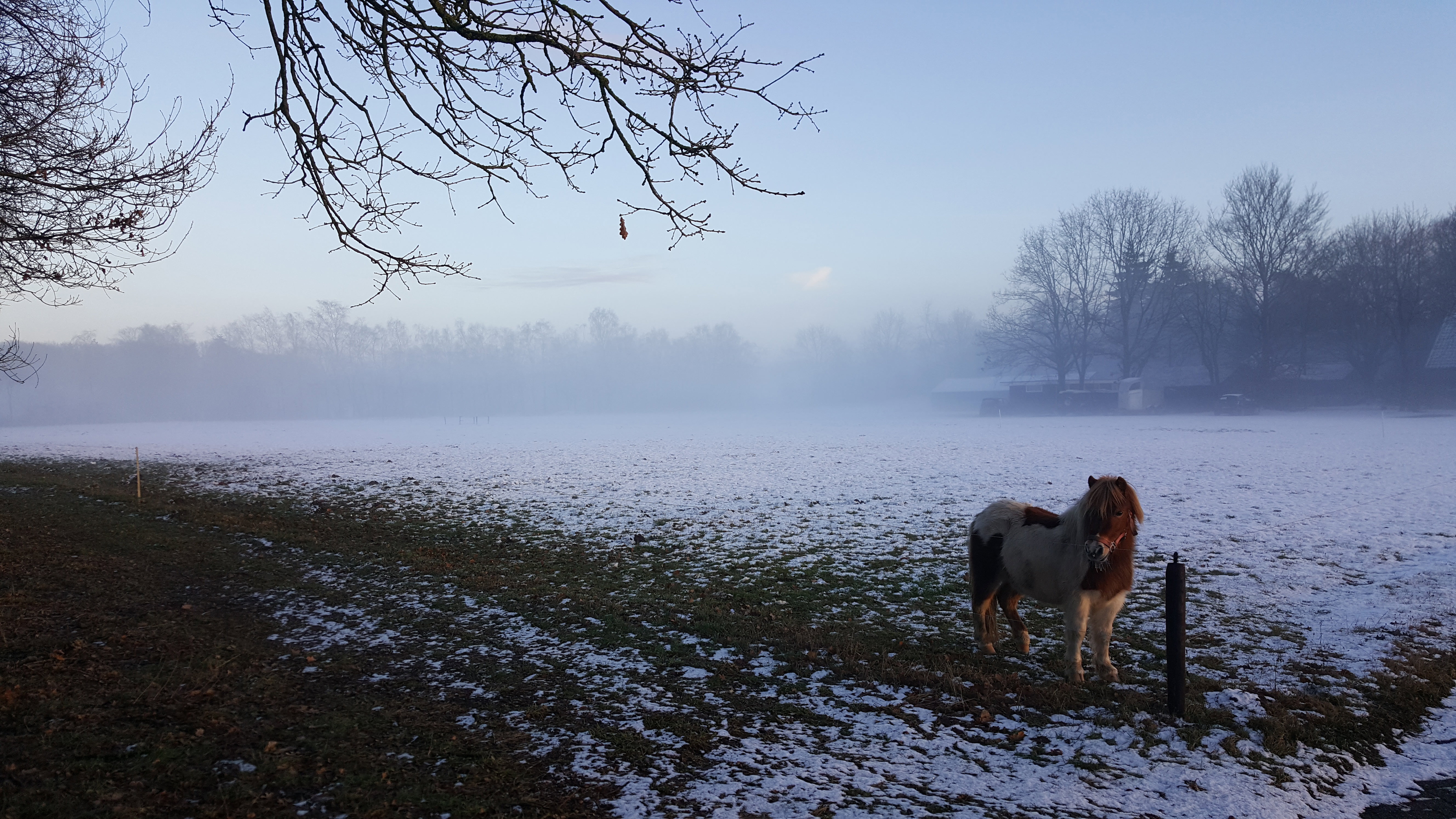 Natuurhuisje in Kootwijk