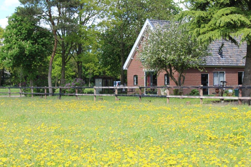 Natuurhuisje in Kootwijk