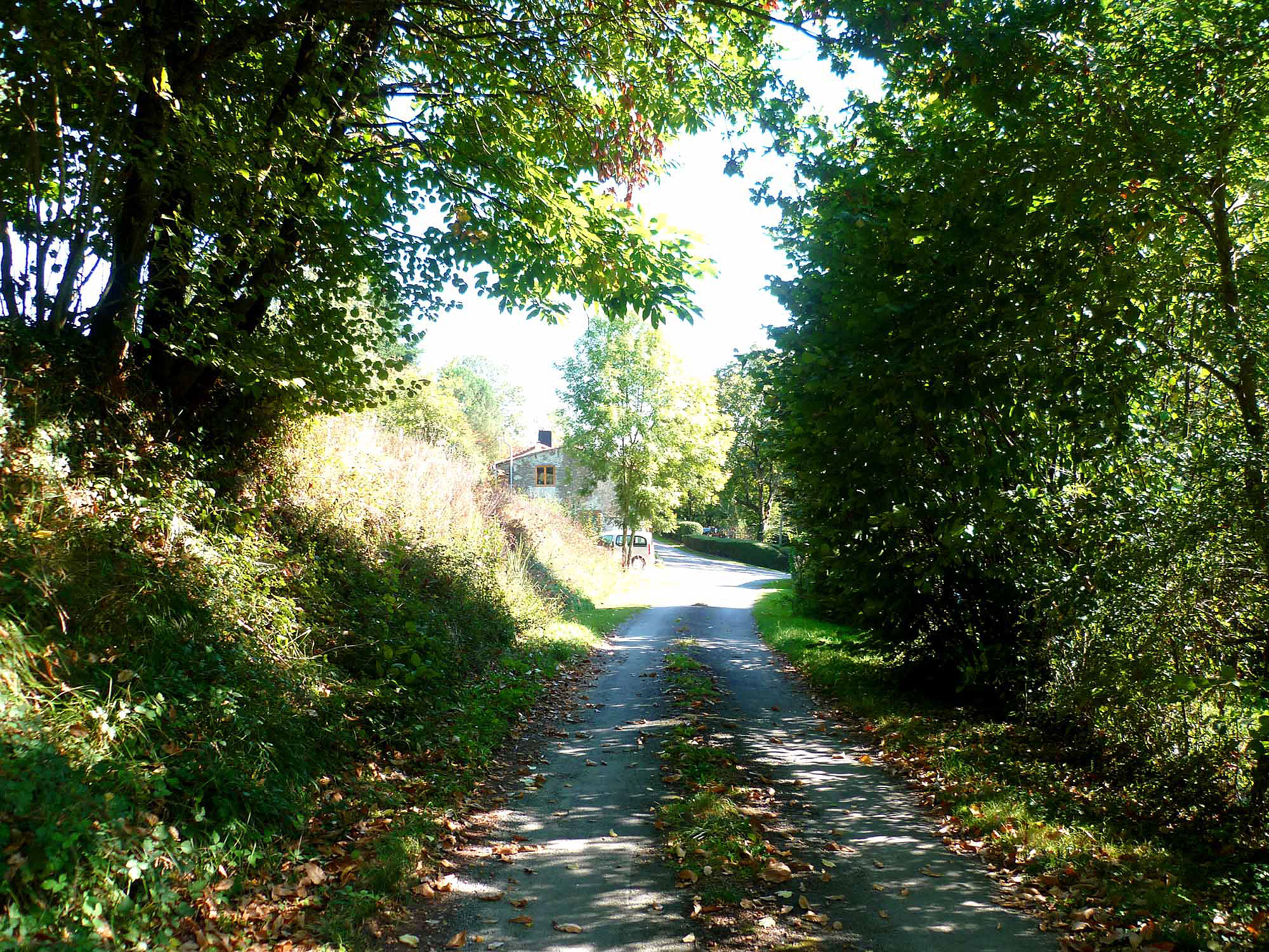 - image: 13