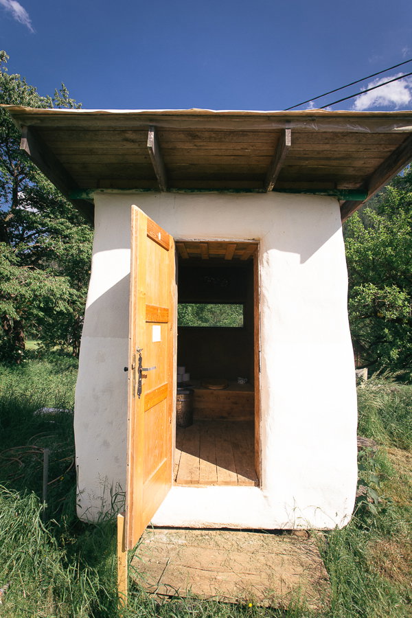 - image: 12