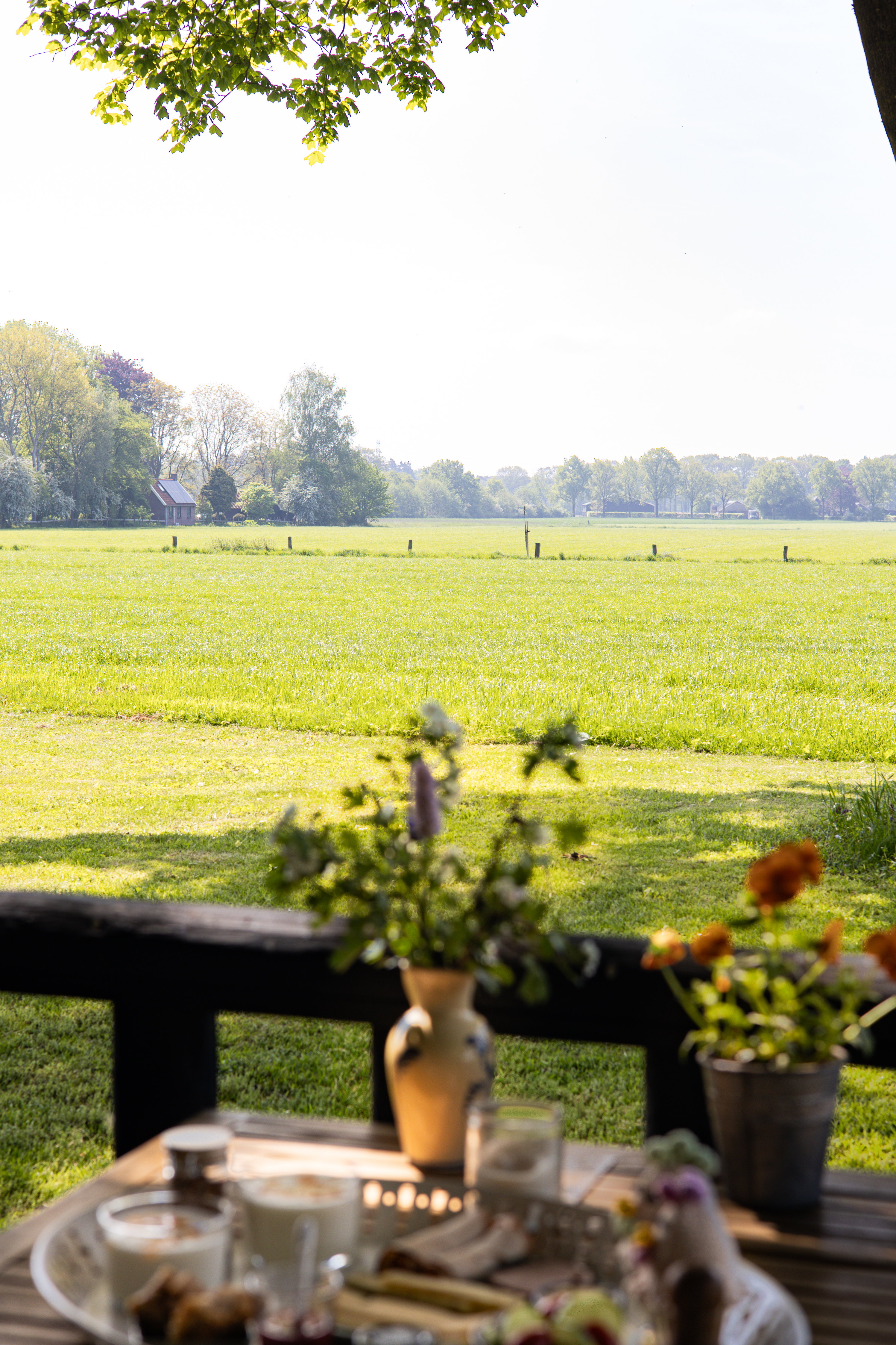 Nature house in Laren