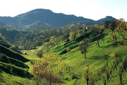 - image: 15
