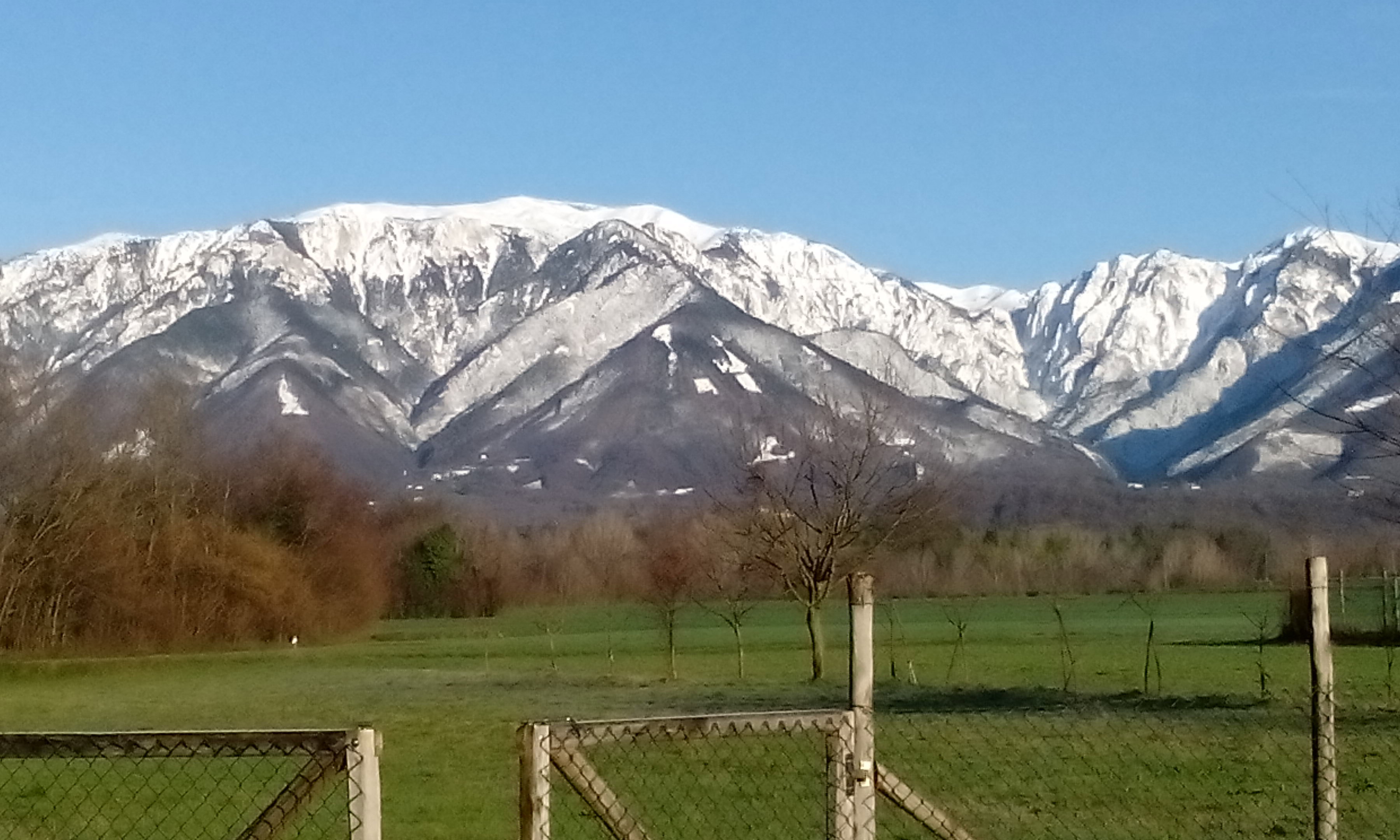 - image: 16