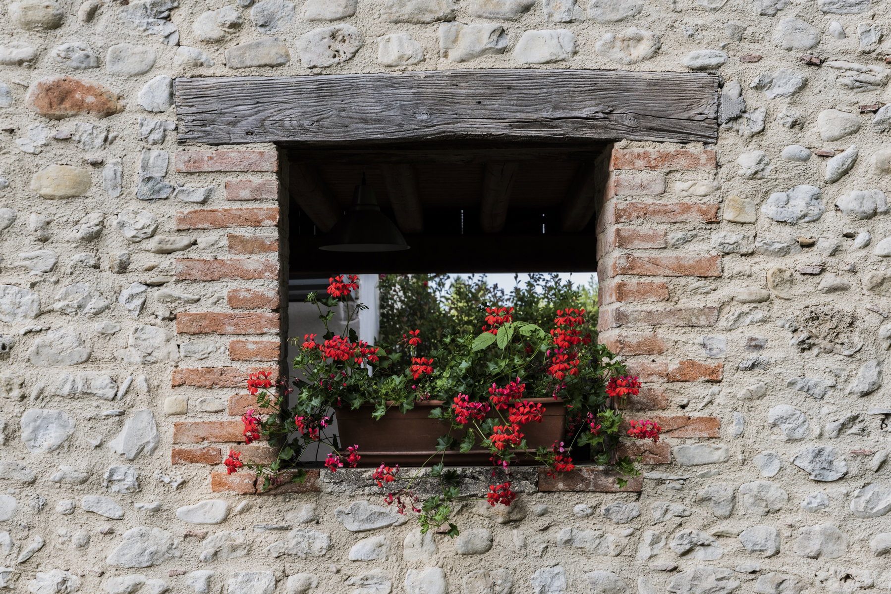 - image: 12