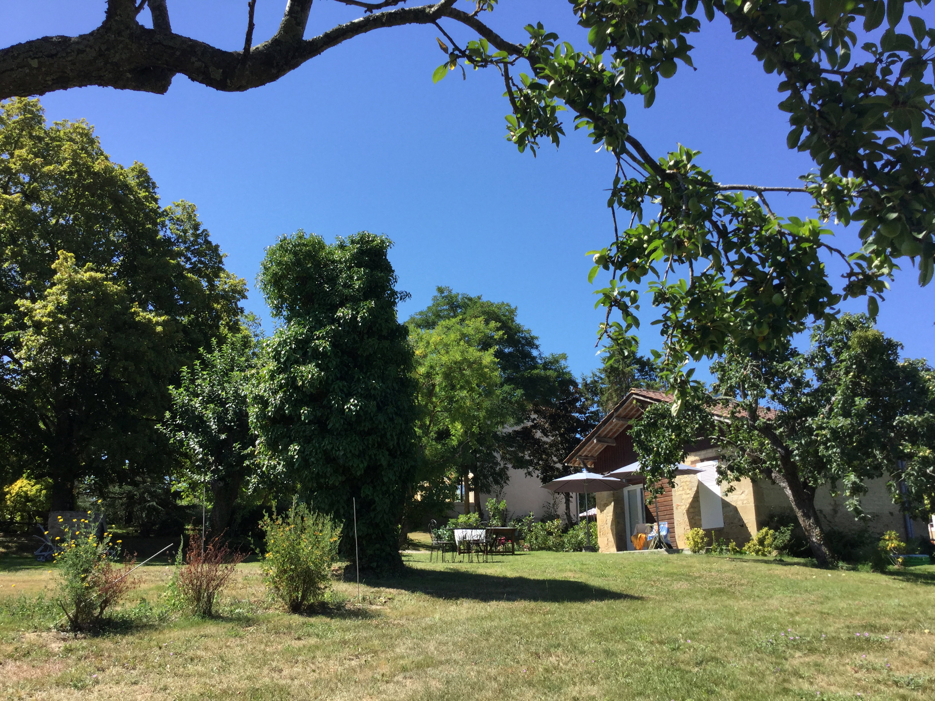 Natuurhuisje in Saint-Blancard