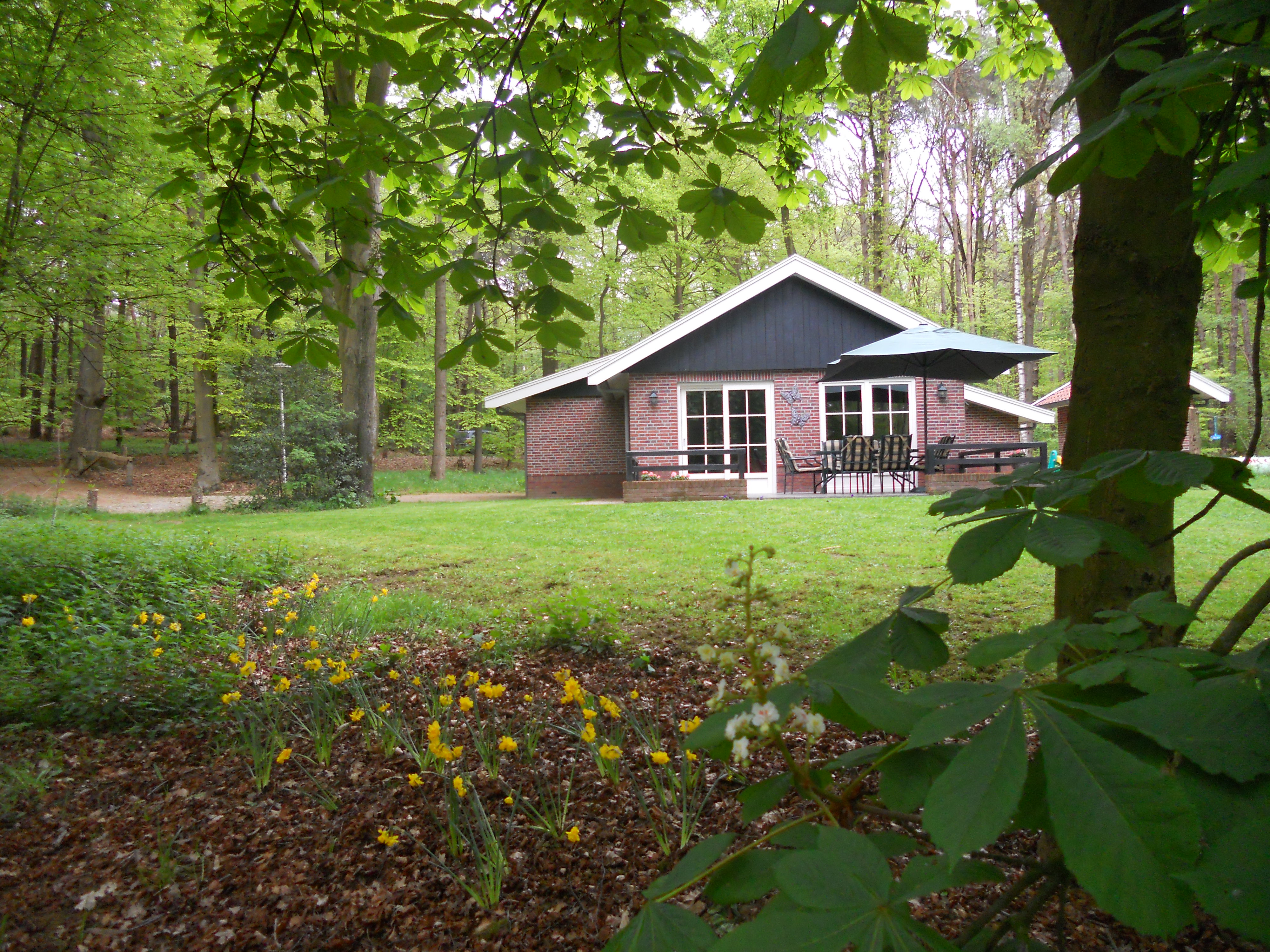 Maison nature à Vasse