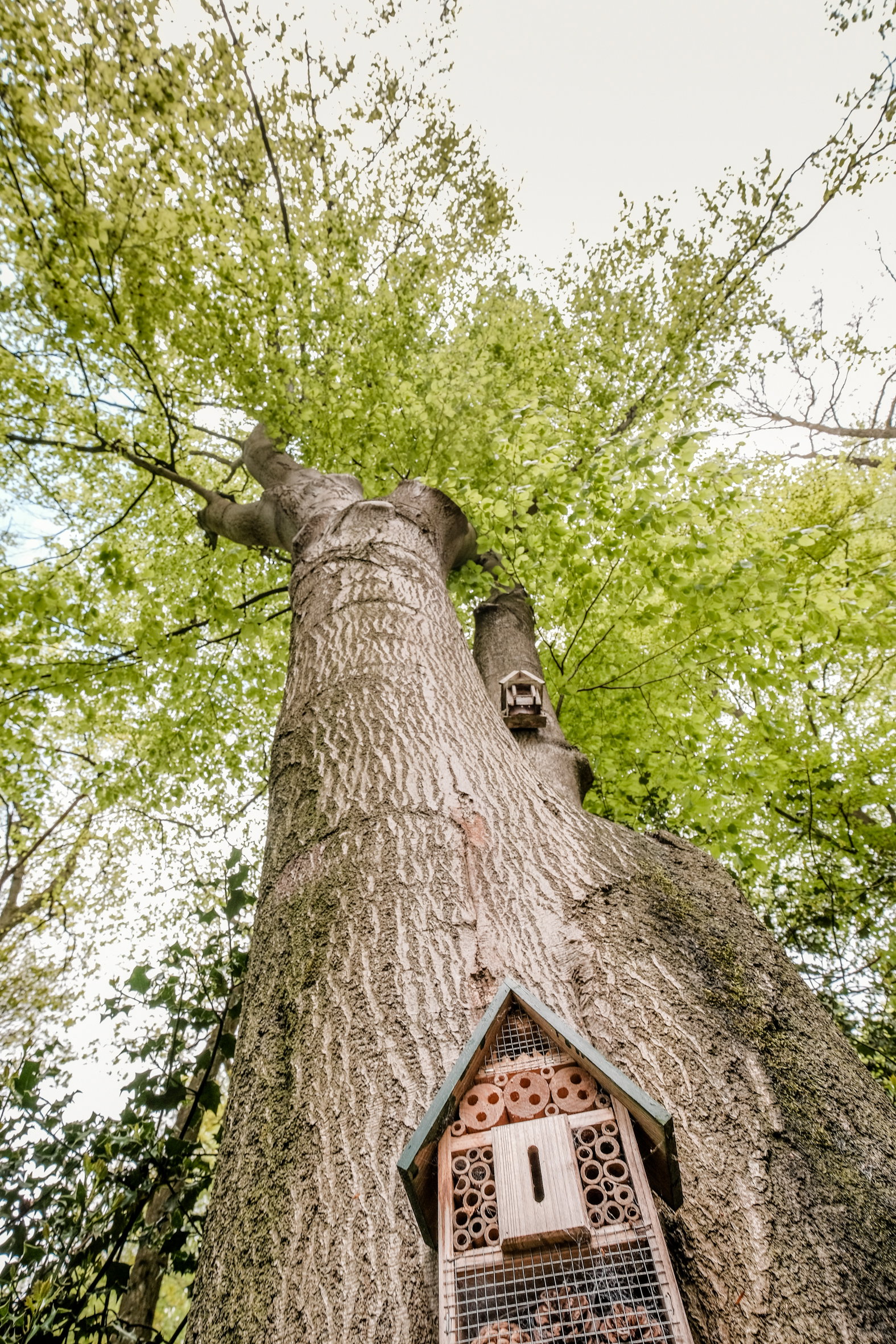 Maison nature à Vasse