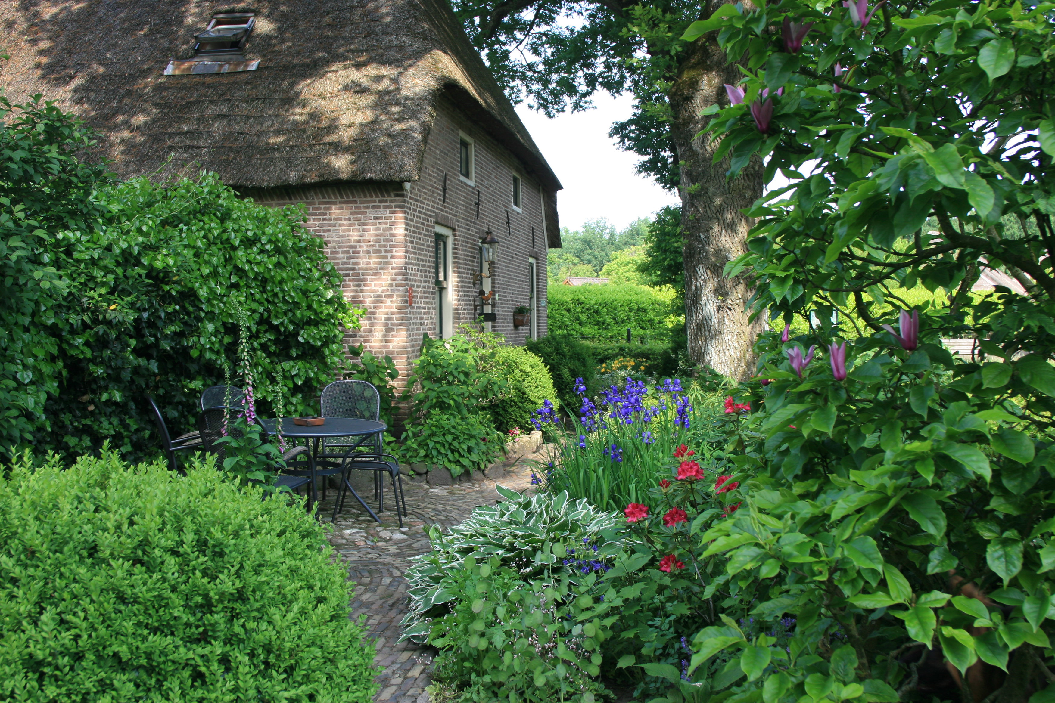 Maison nature à Aalden