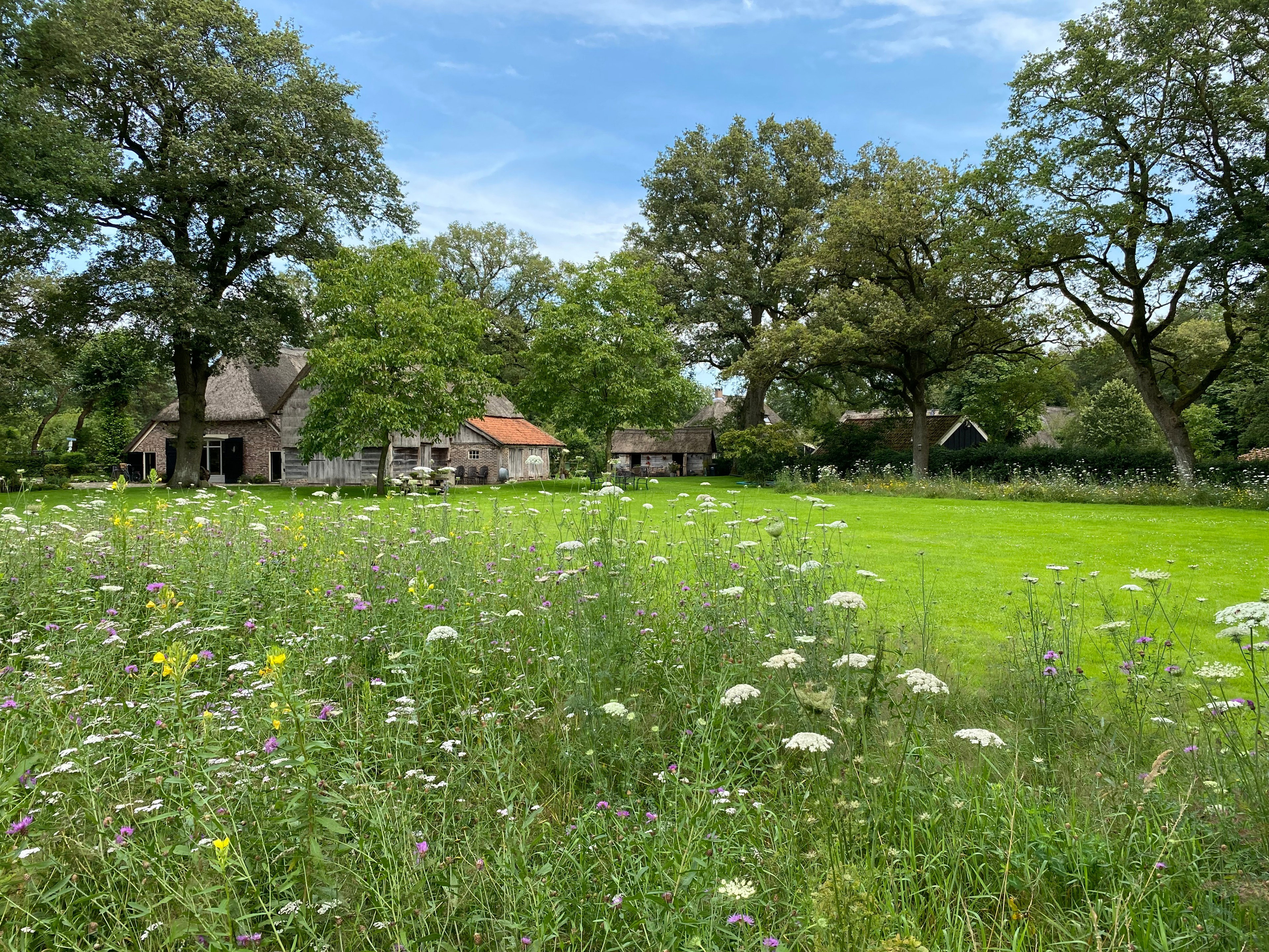 Casa nella natura a Aalden