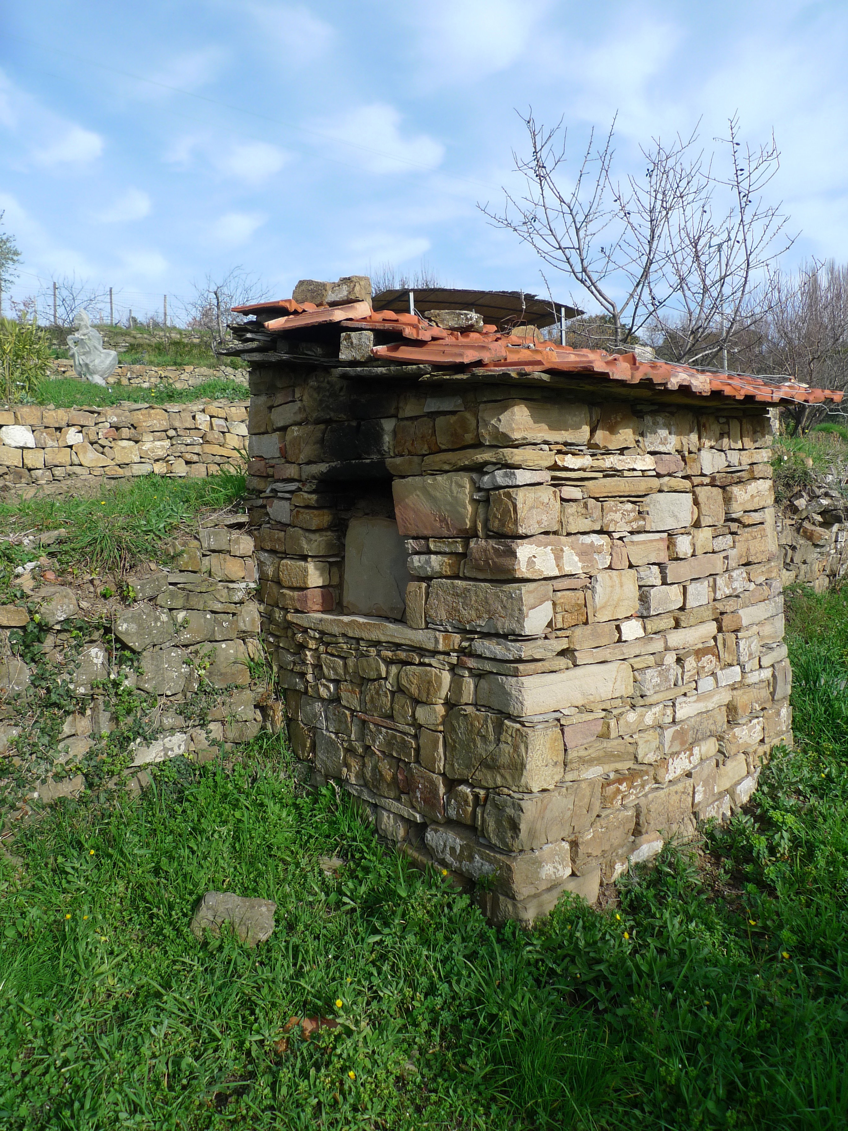 - image: 12