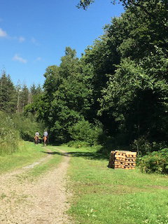 Naturhäuschen in Eperlecques